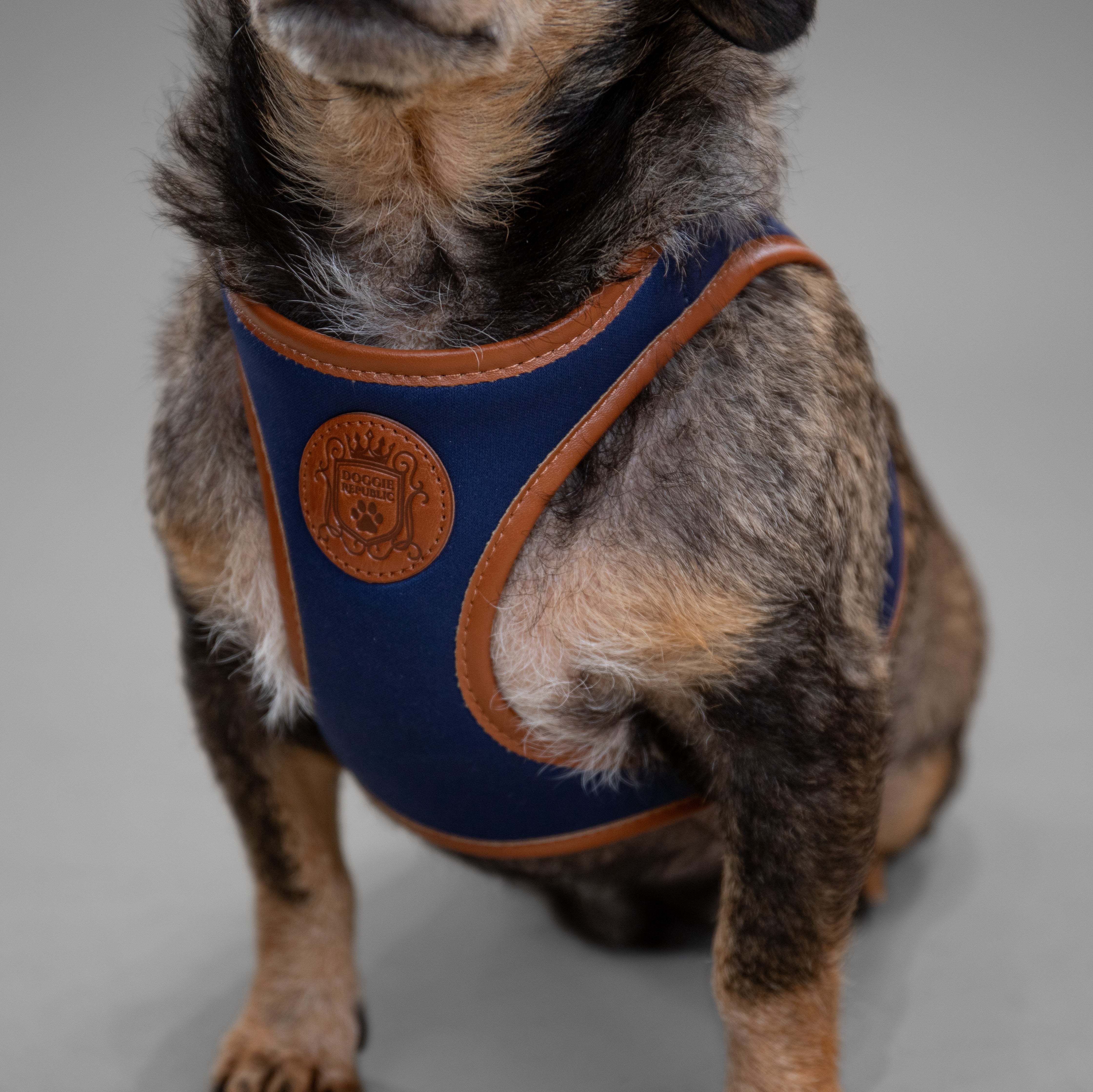 Doggie Republic Classic Harness