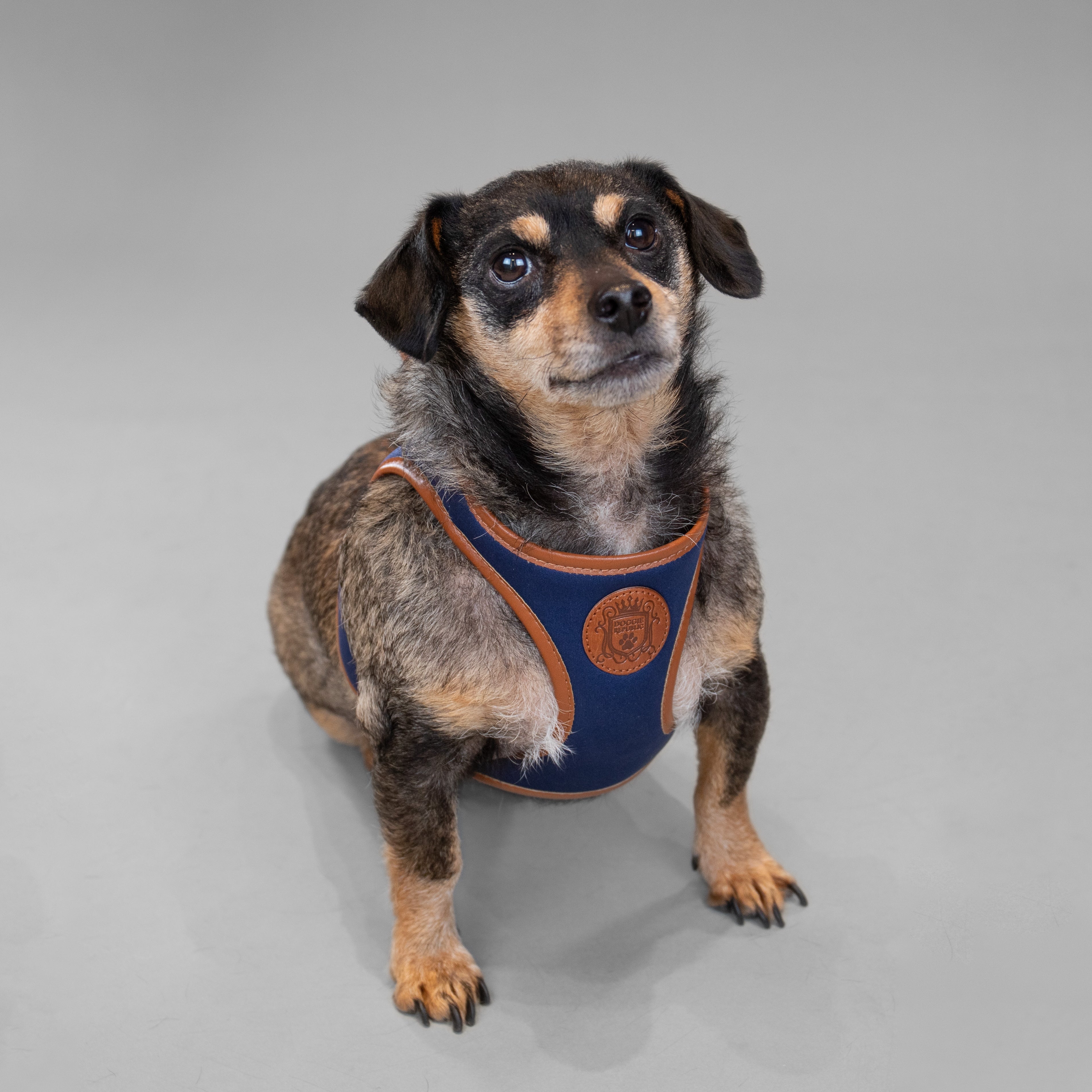 Doggie Republic Classic Harness