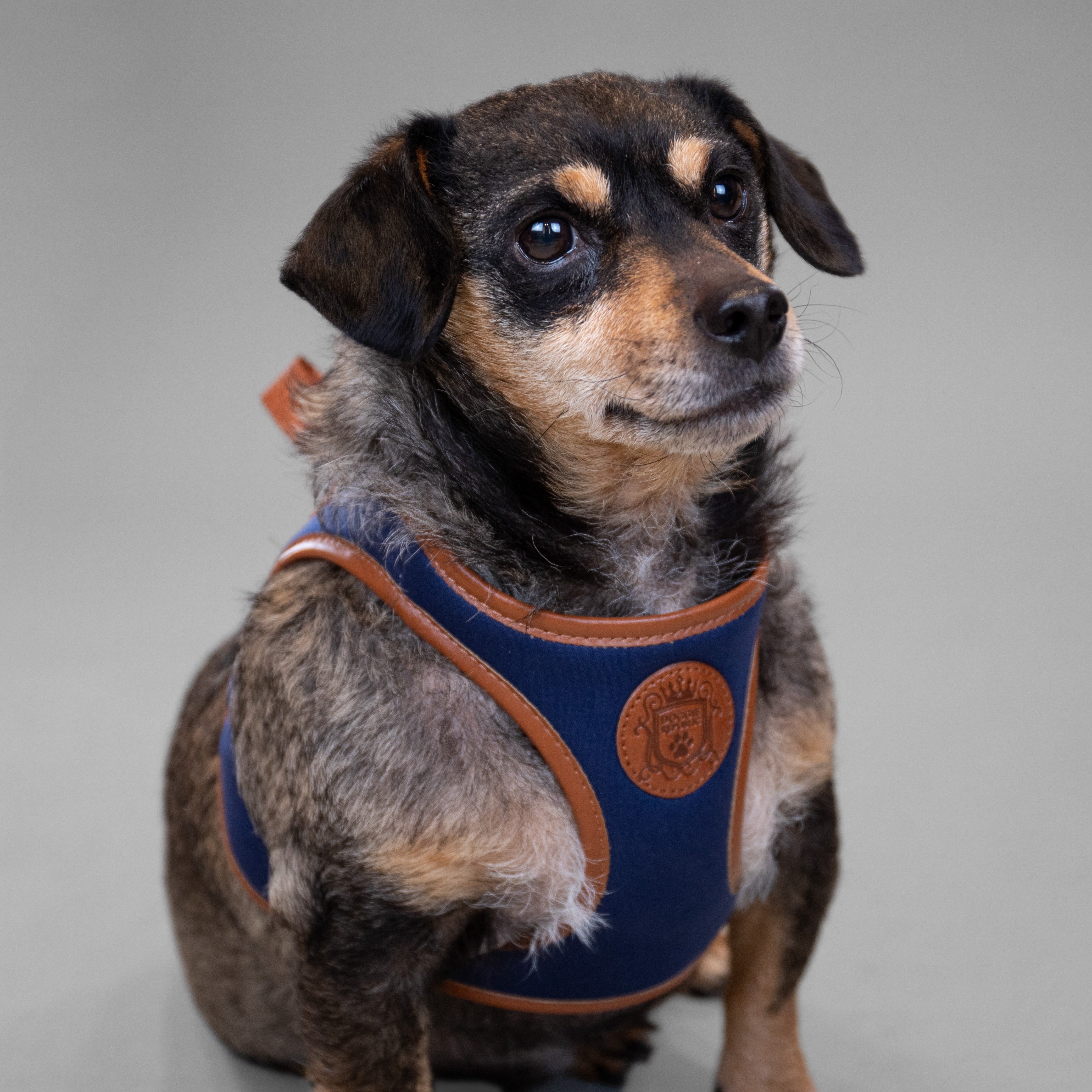 Doggie Republic Classic Harness