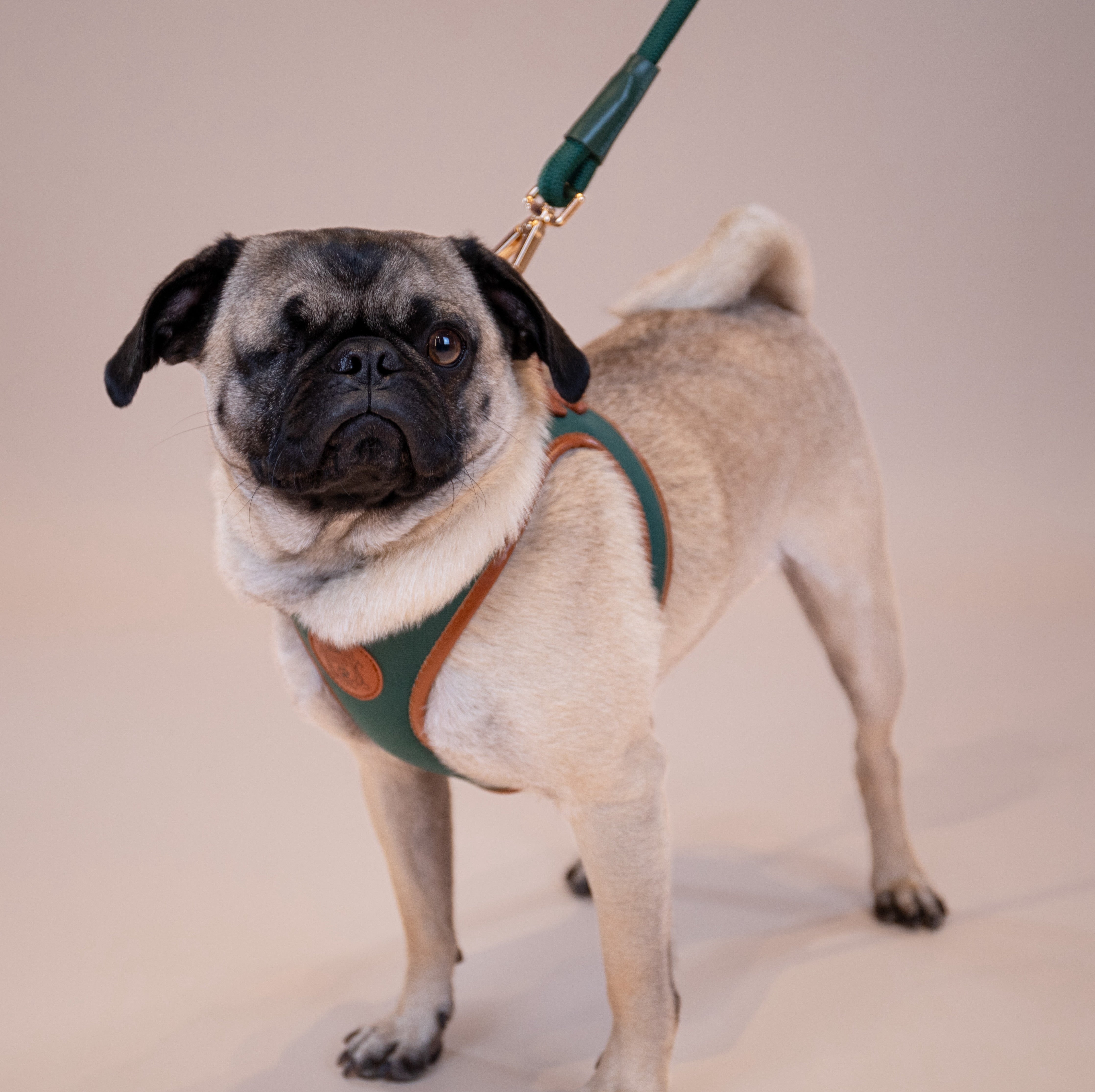 Doggie Republic Classic Harness