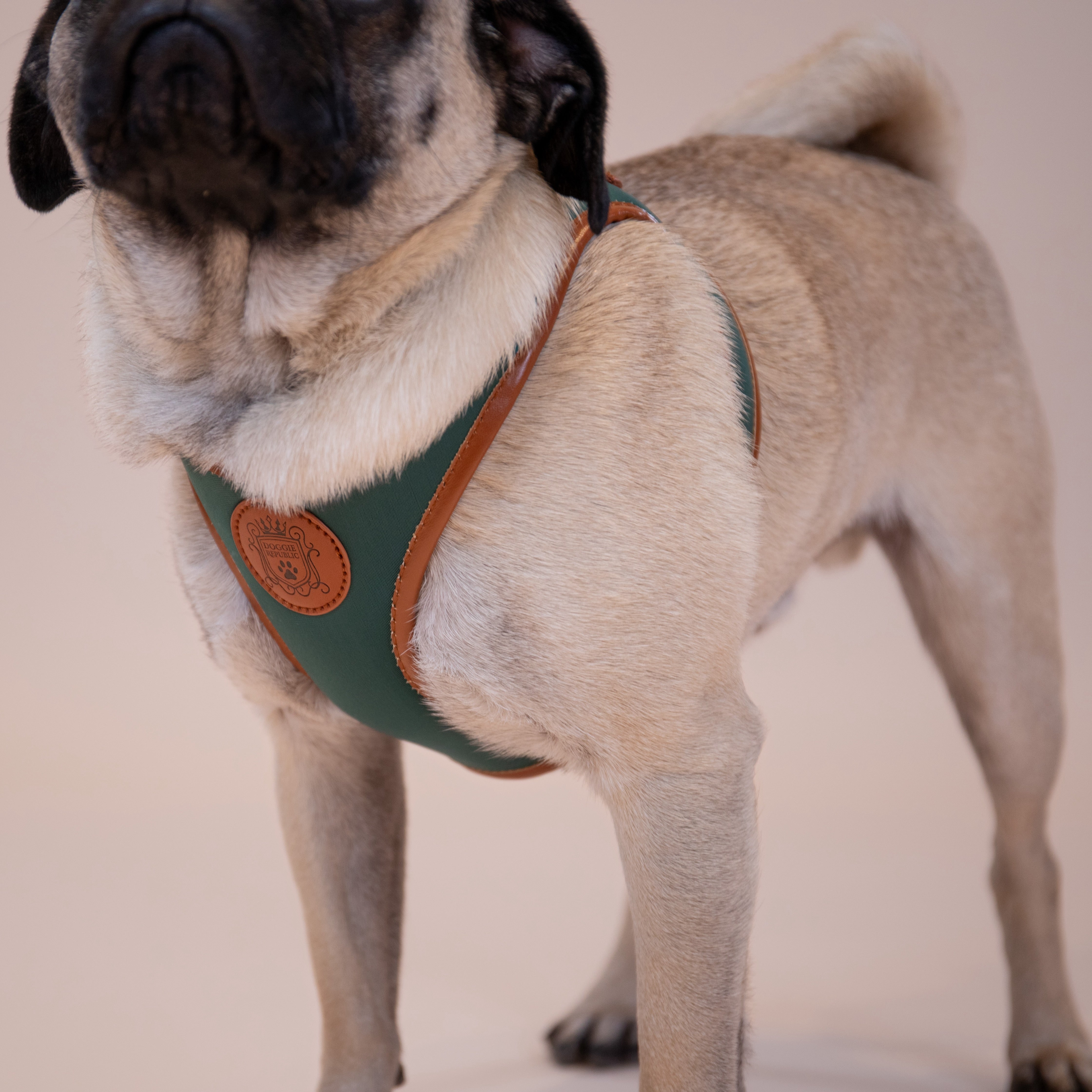 Doggie Republic Classic Harness