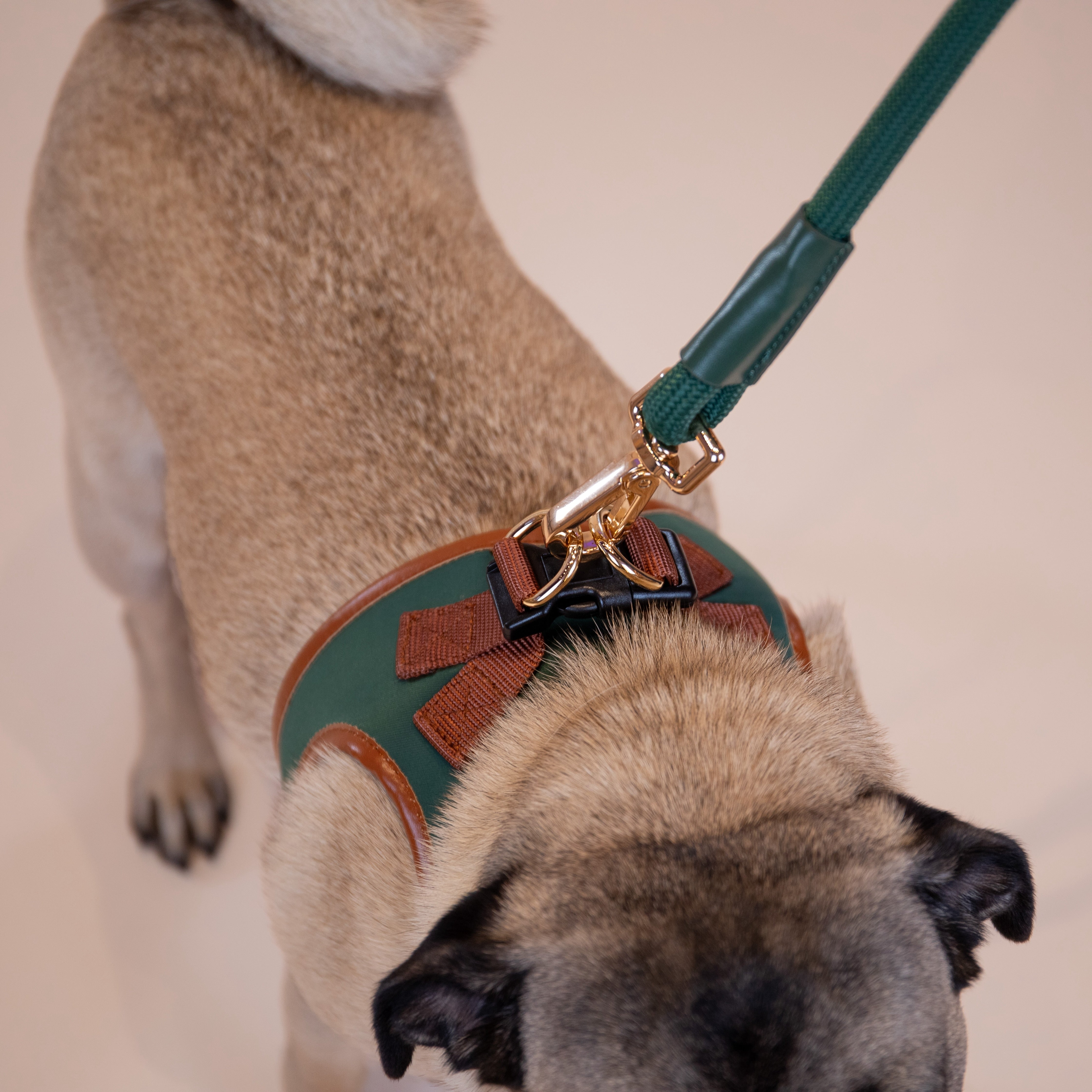 Doggie Republic Classic Harness