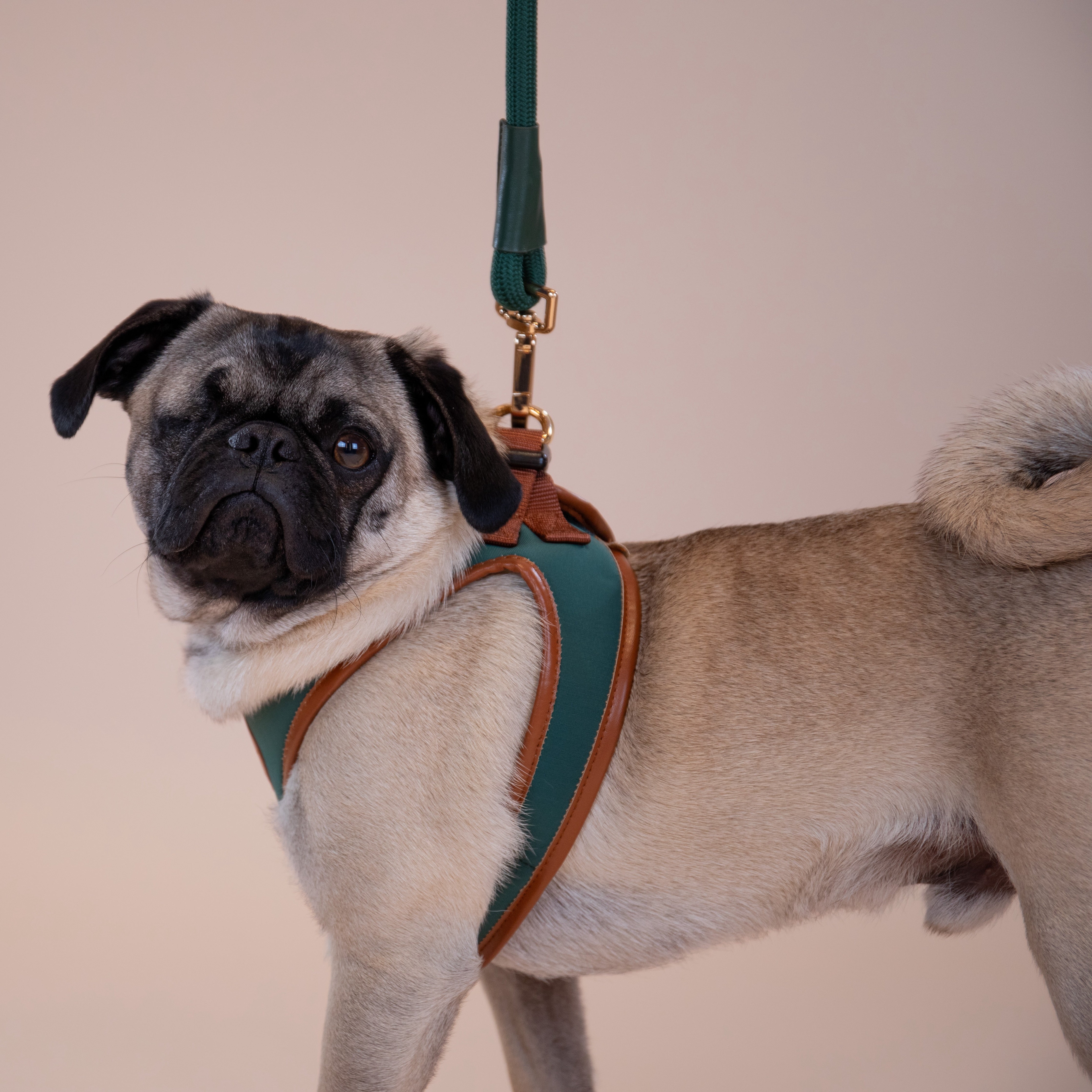 Doggie Republic Classic Harness