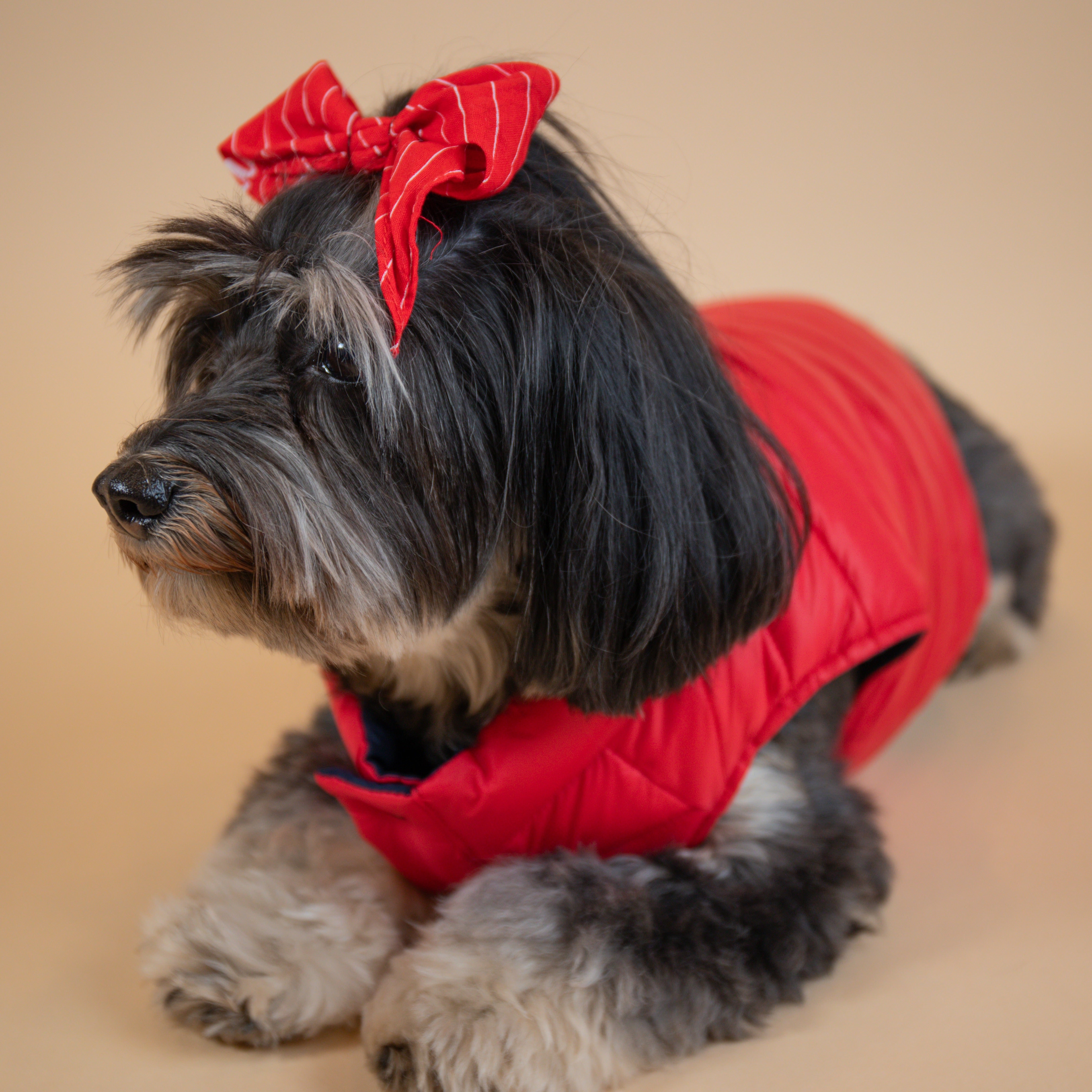 Ralph Lauren Puffer Jacket