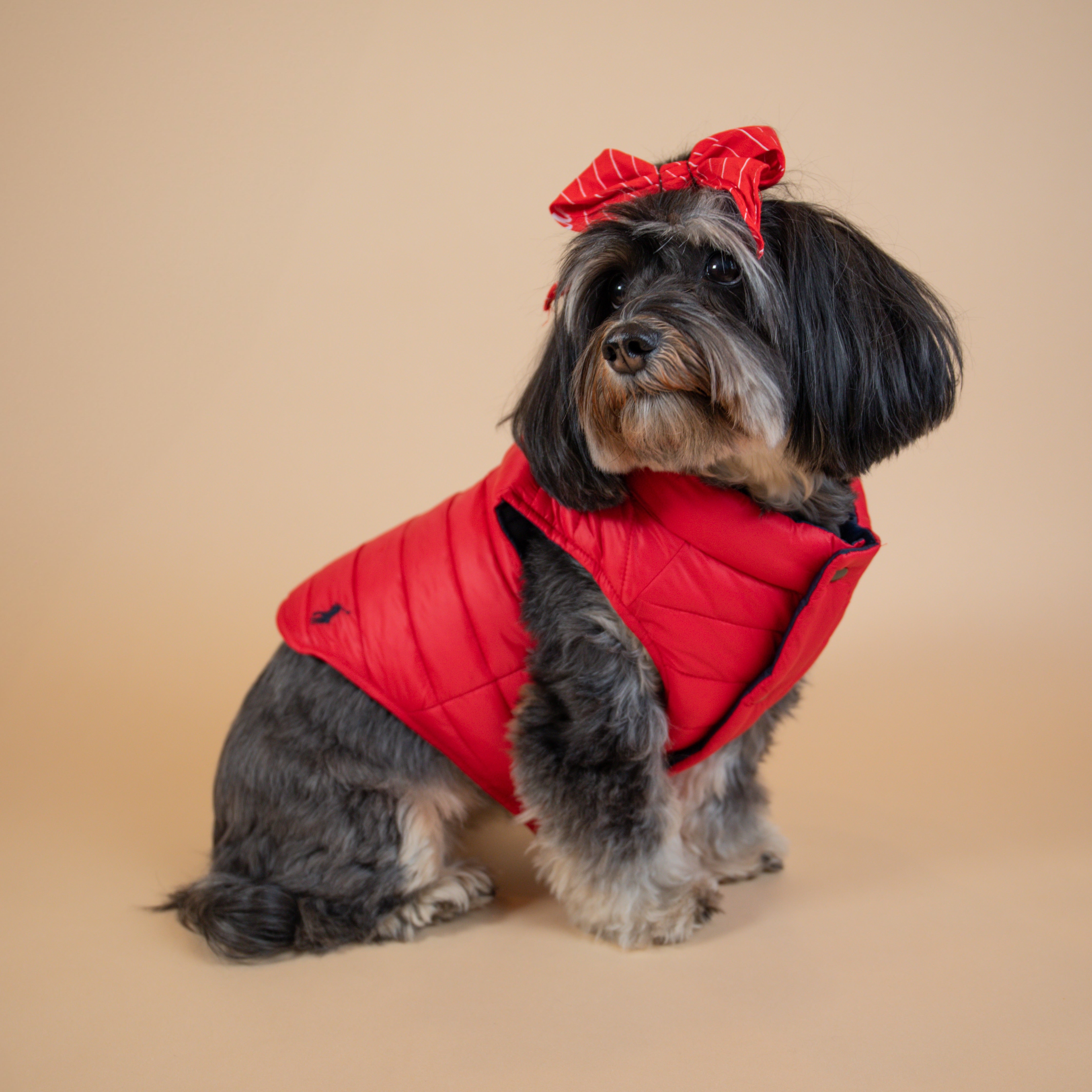 Ralph Lauren Puffer Jacket