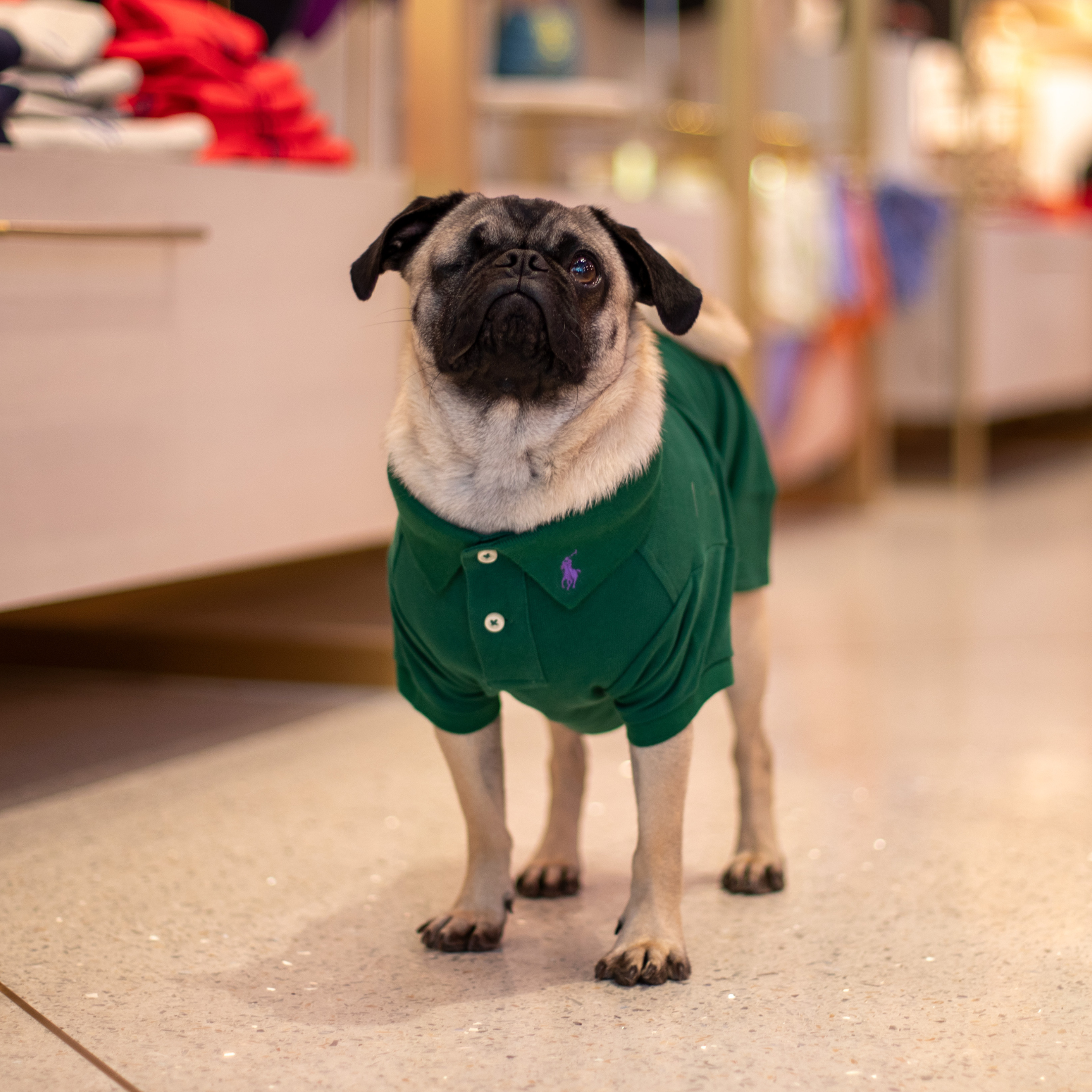 Ralph Lauren Classic Polo