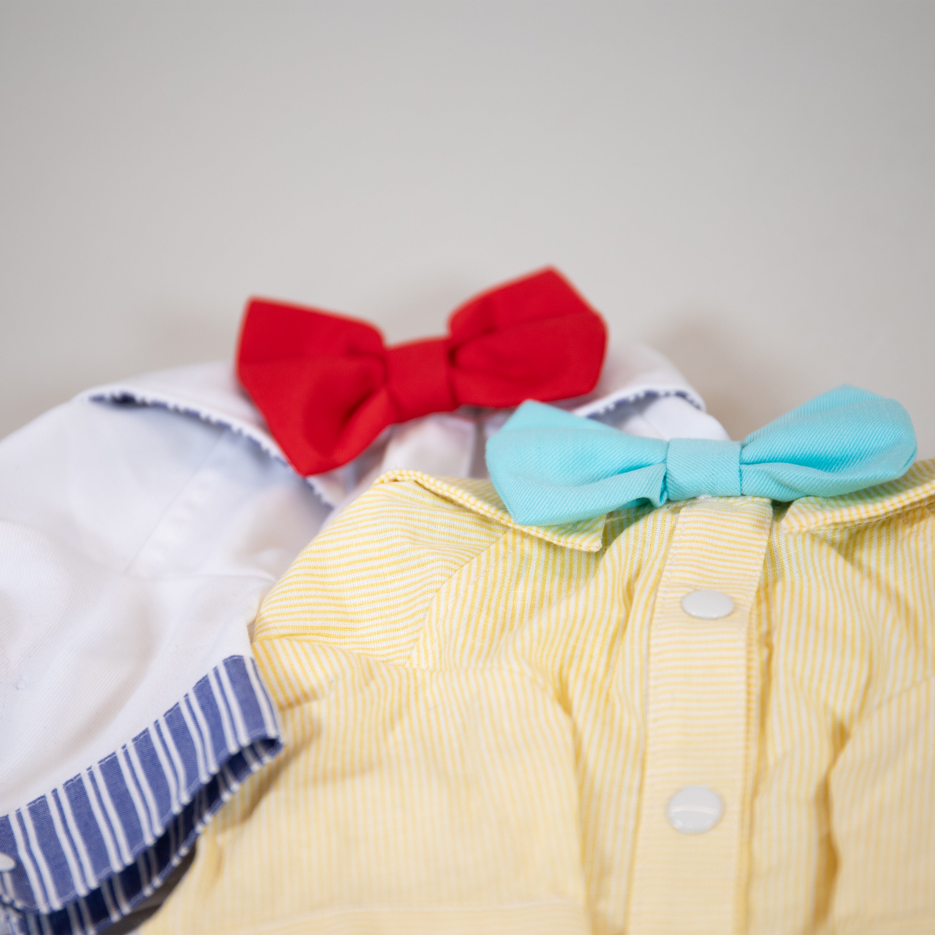 Bow Tie Buttondowns