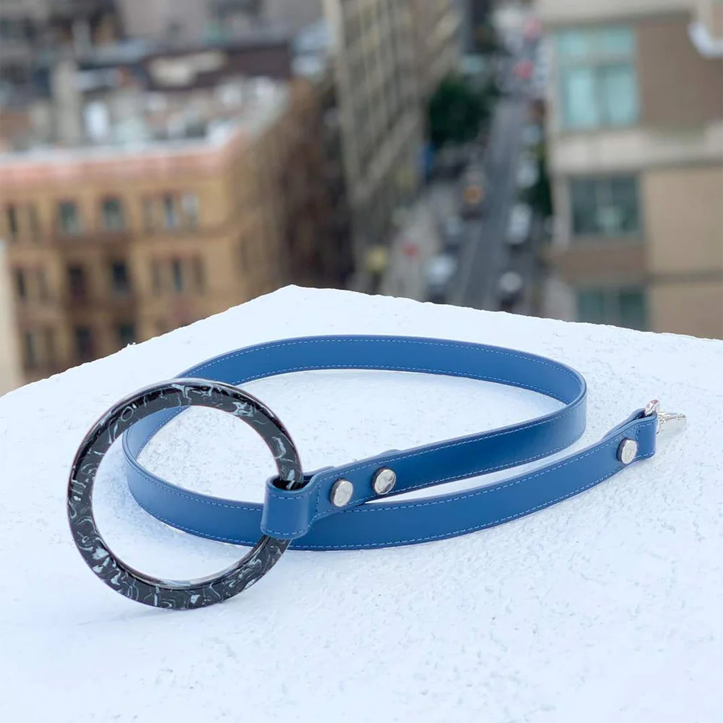 Idyllic Italian Leash
