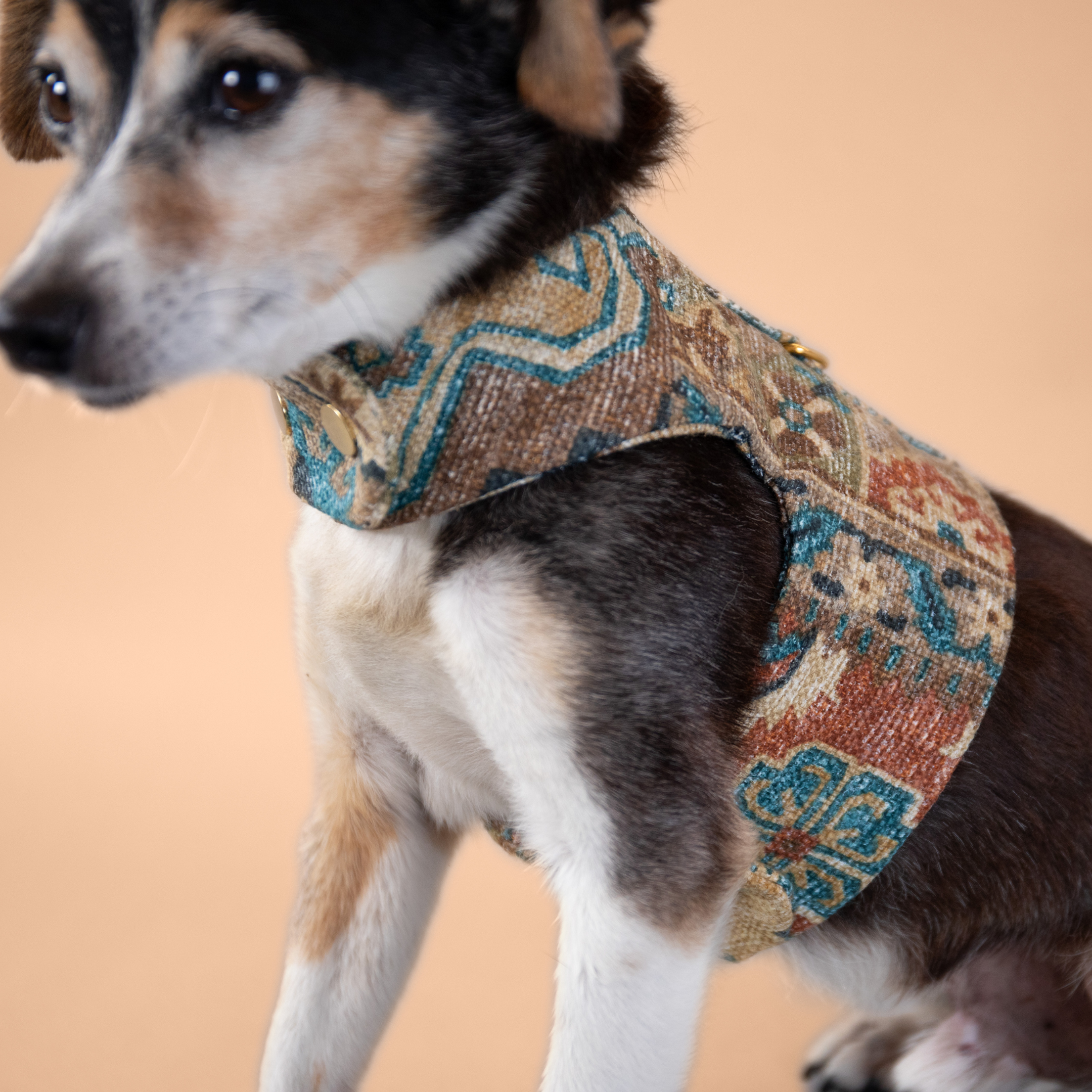 Boho Woven Harness