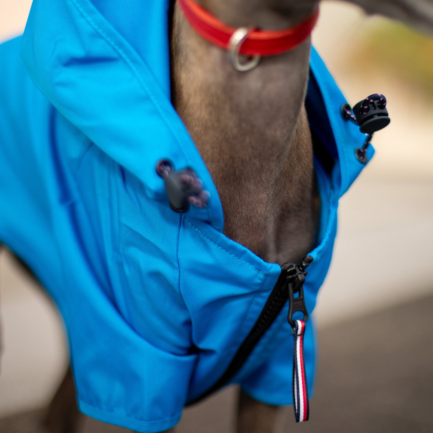 Tommy Hilfiger Raincoat