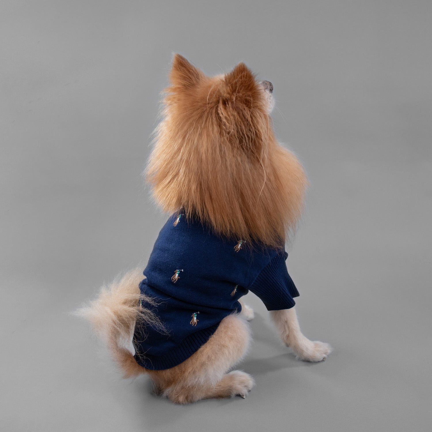 Ralph Lauren Logo Sweater