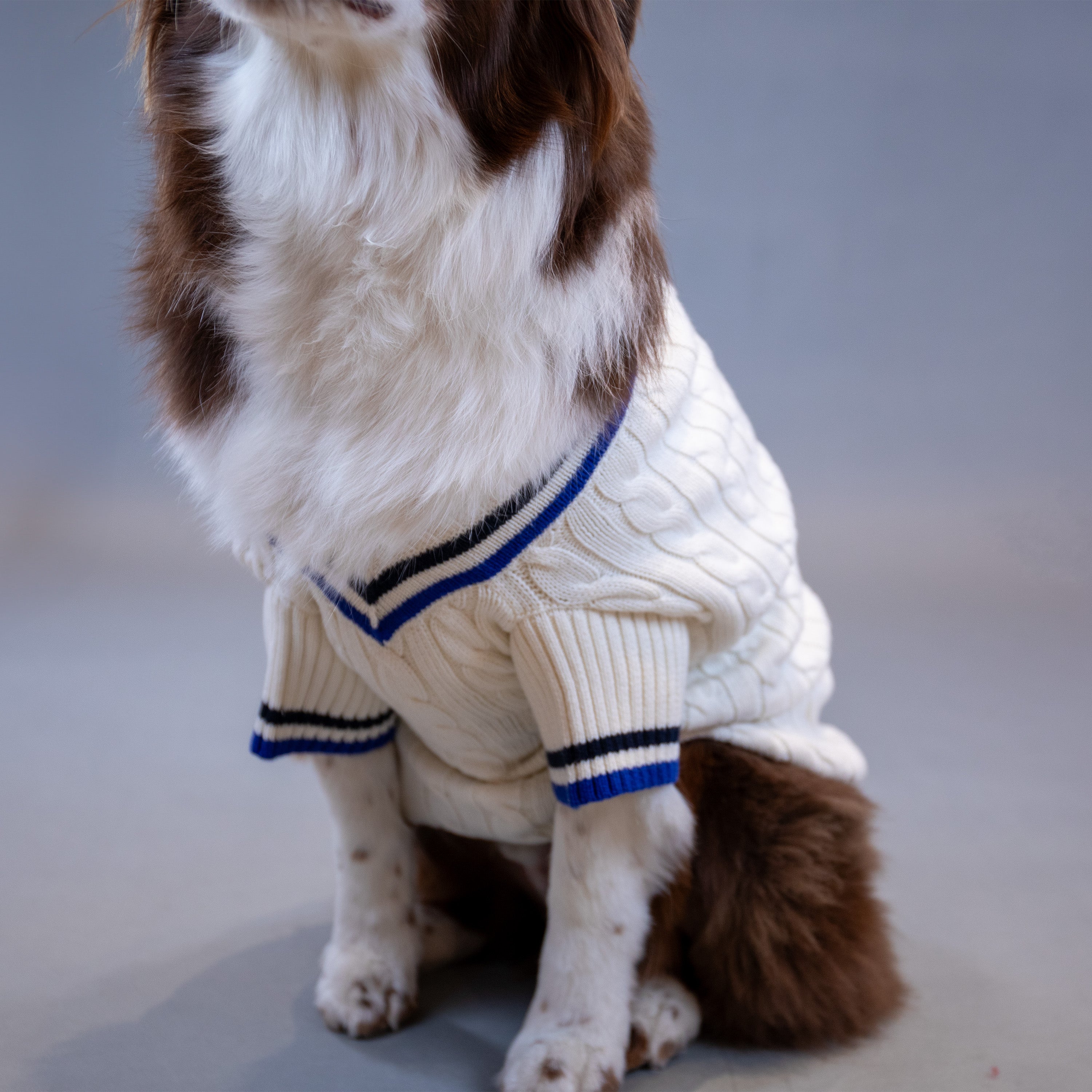 Ralph Lauren Cricket Sweater
