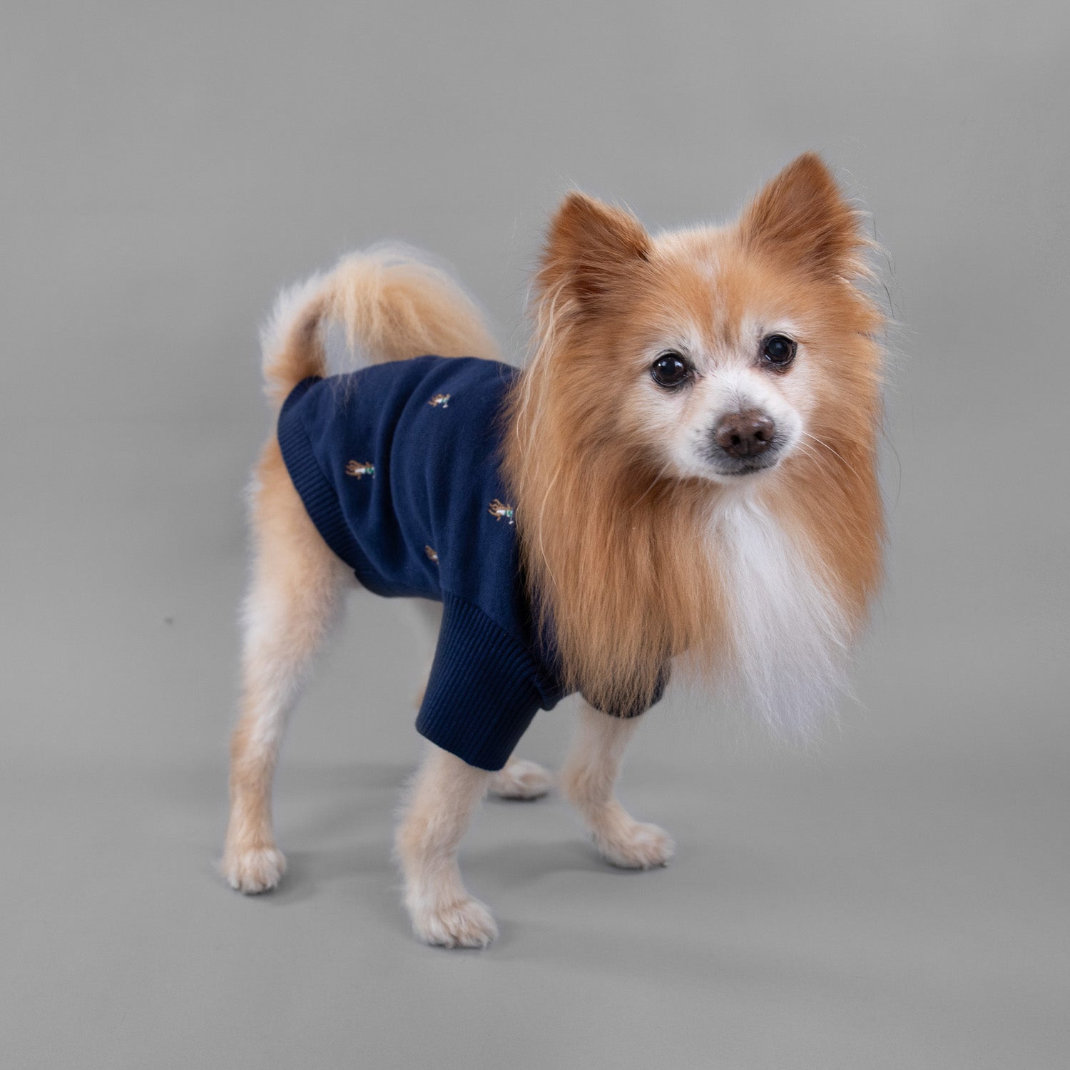 Ralph Lauren Logo Sweater