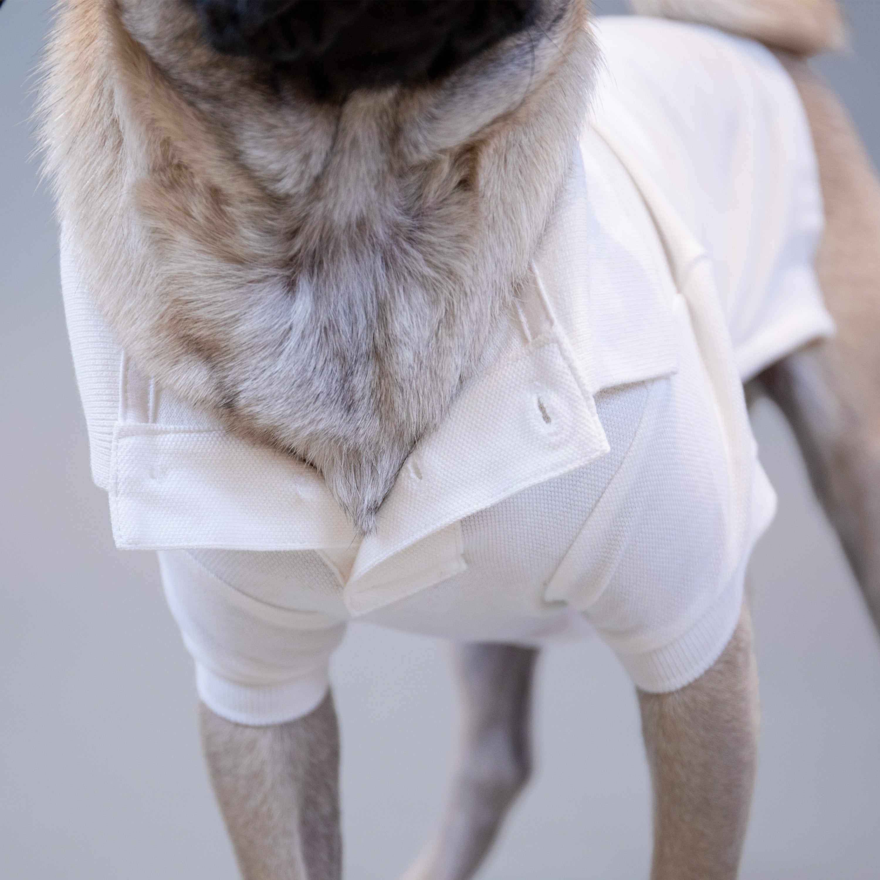 Ralph Lauren Holiday Polo