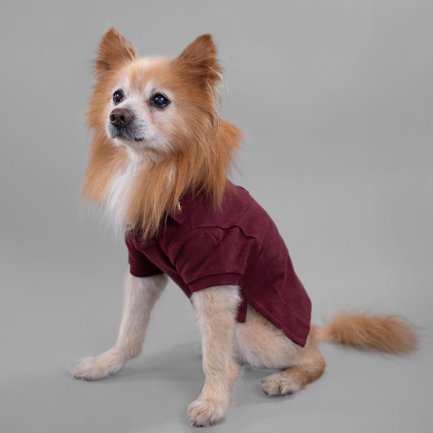 Ralph Lauren Classic Polo