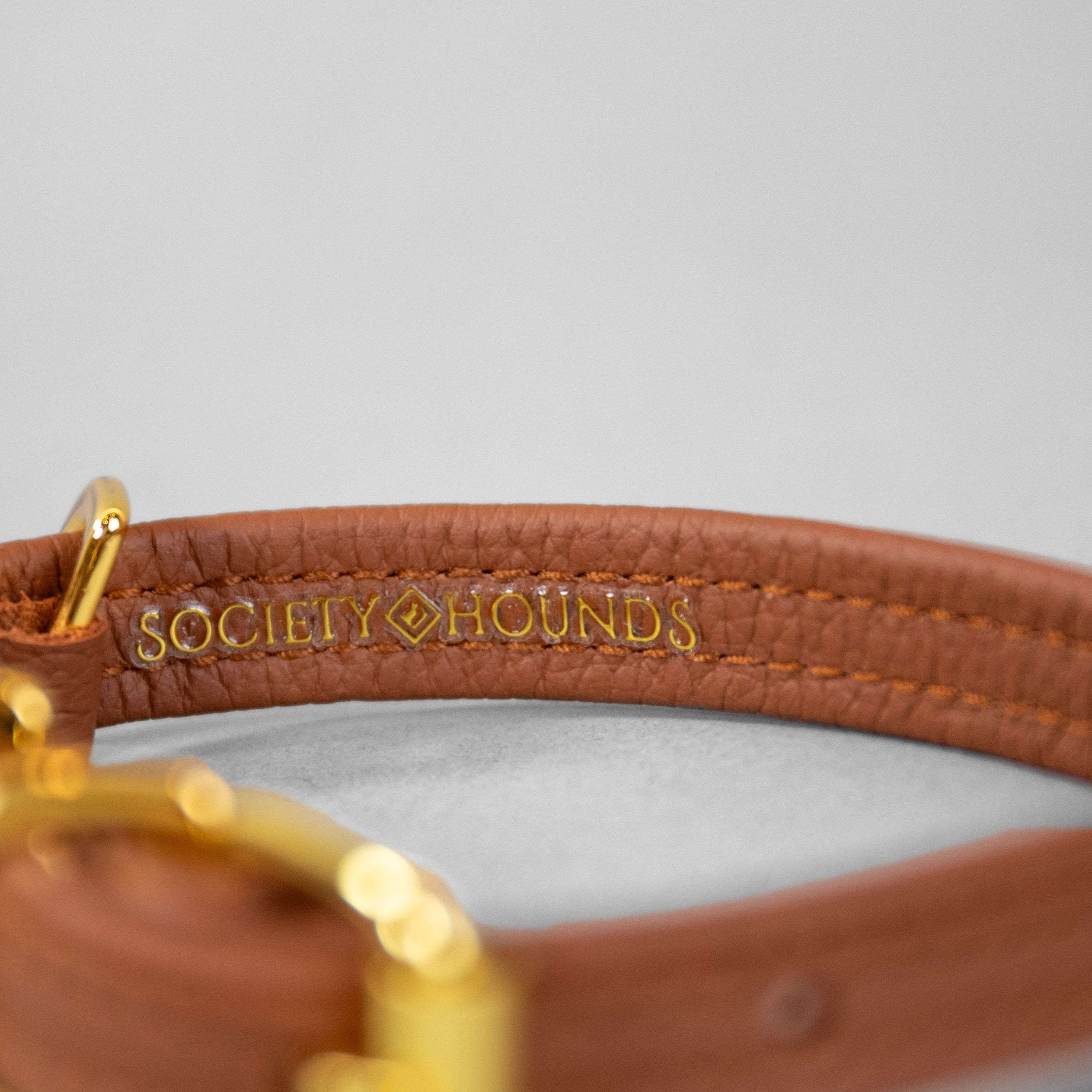 The Original Collar