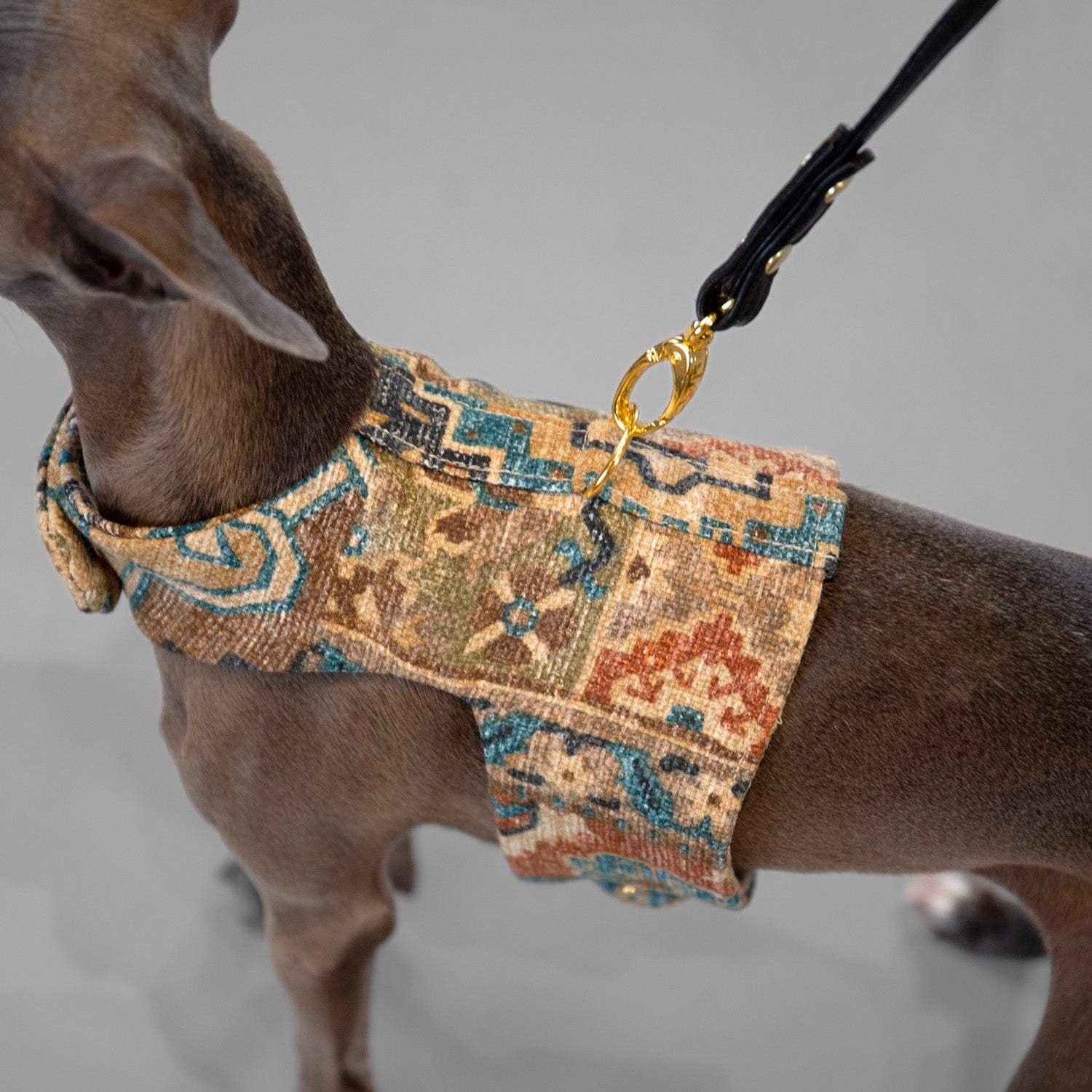 Boho Woven Harness