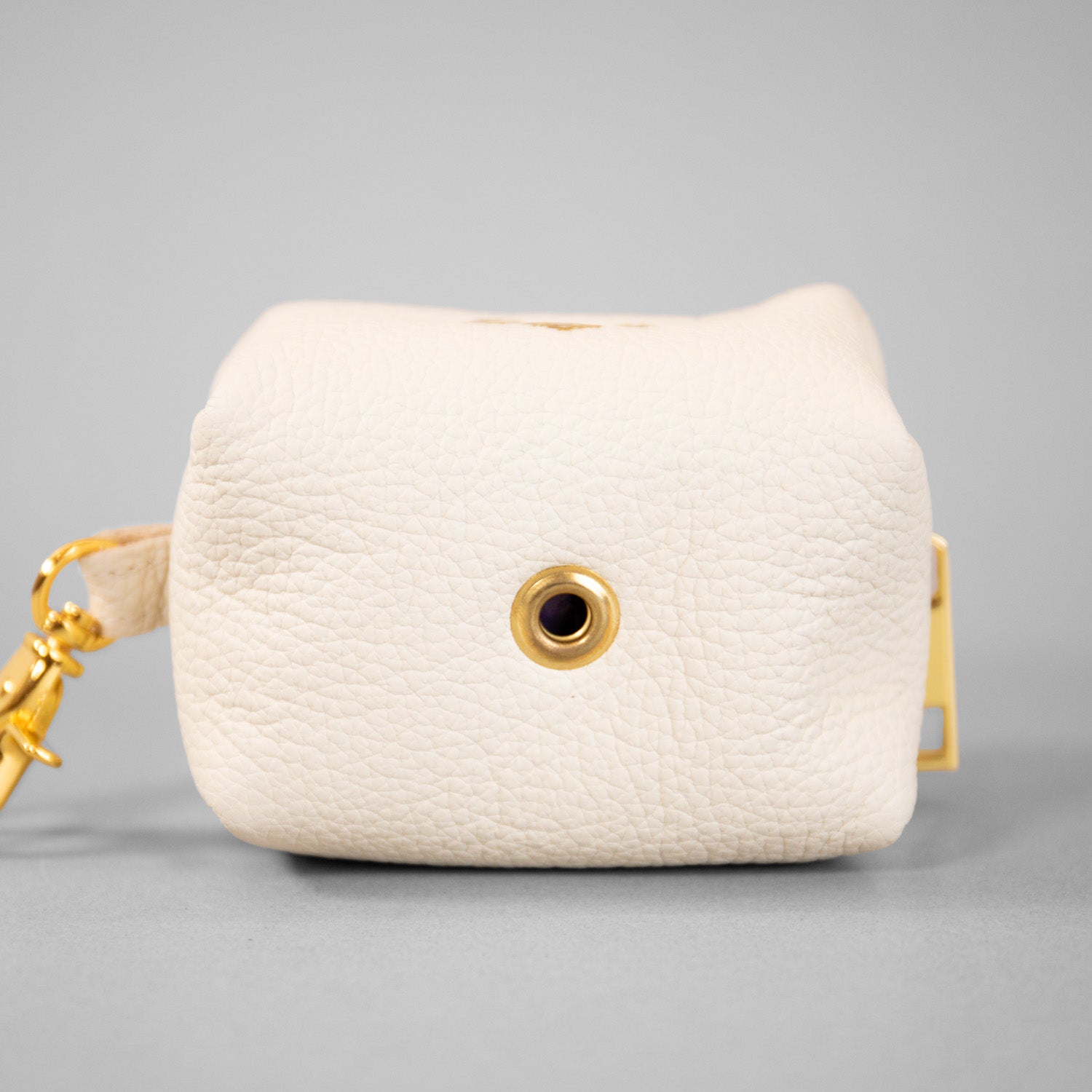 The Original Clean-up Carrier