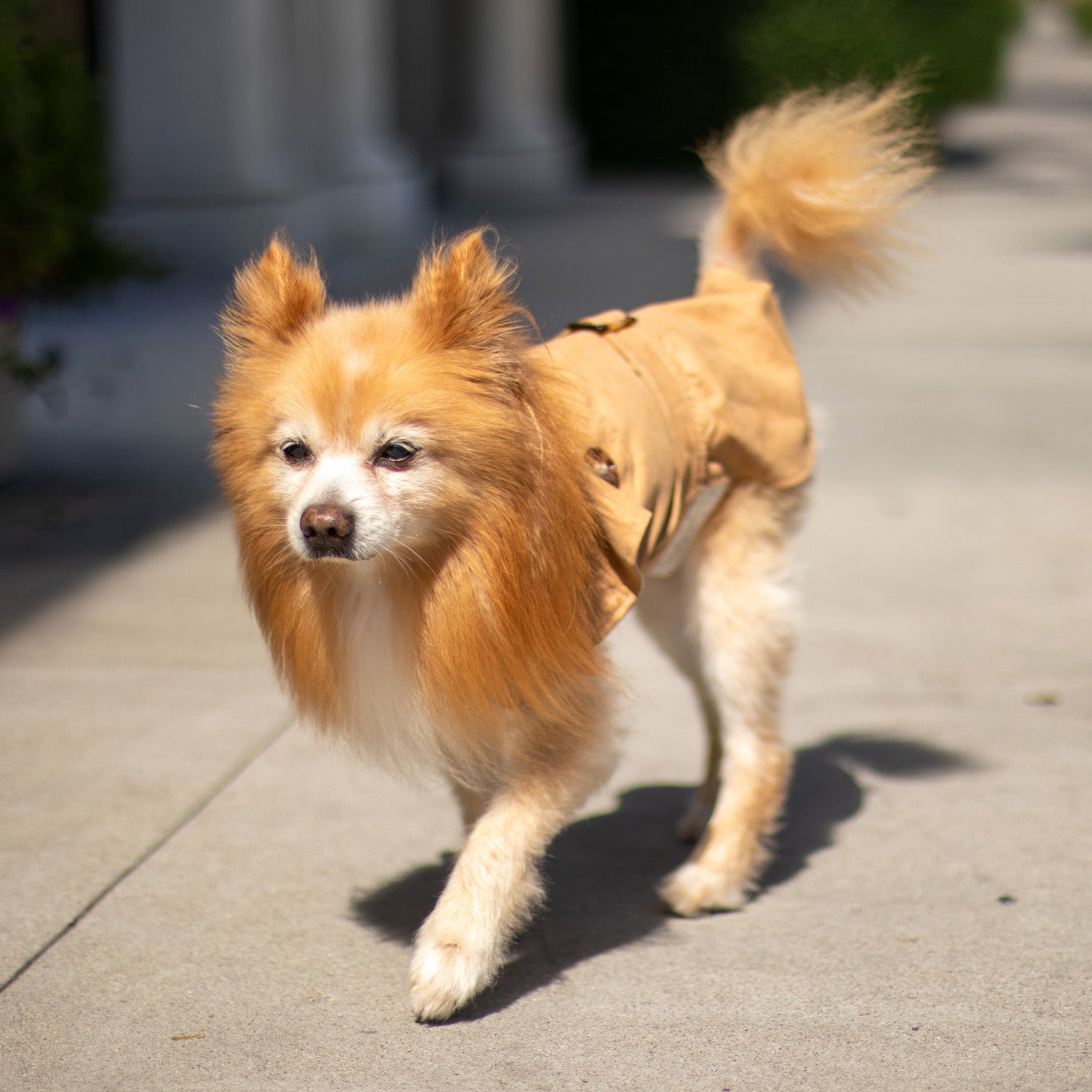 Sweetheart Suede Overcoat