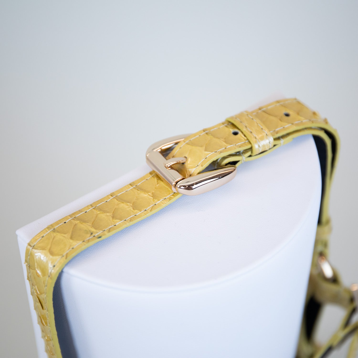 Pearly Dunes Harness