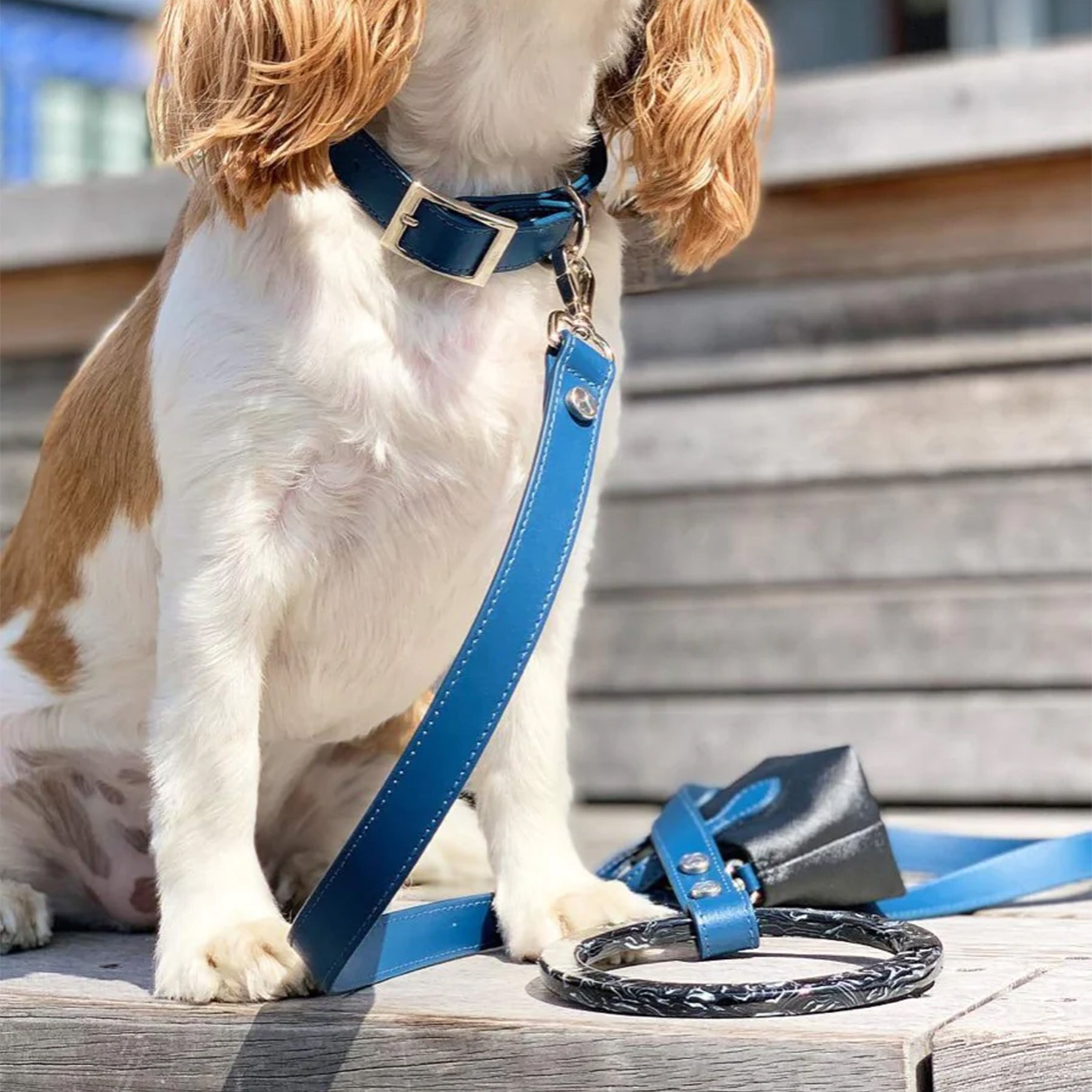 Idyllic Italian Leash
