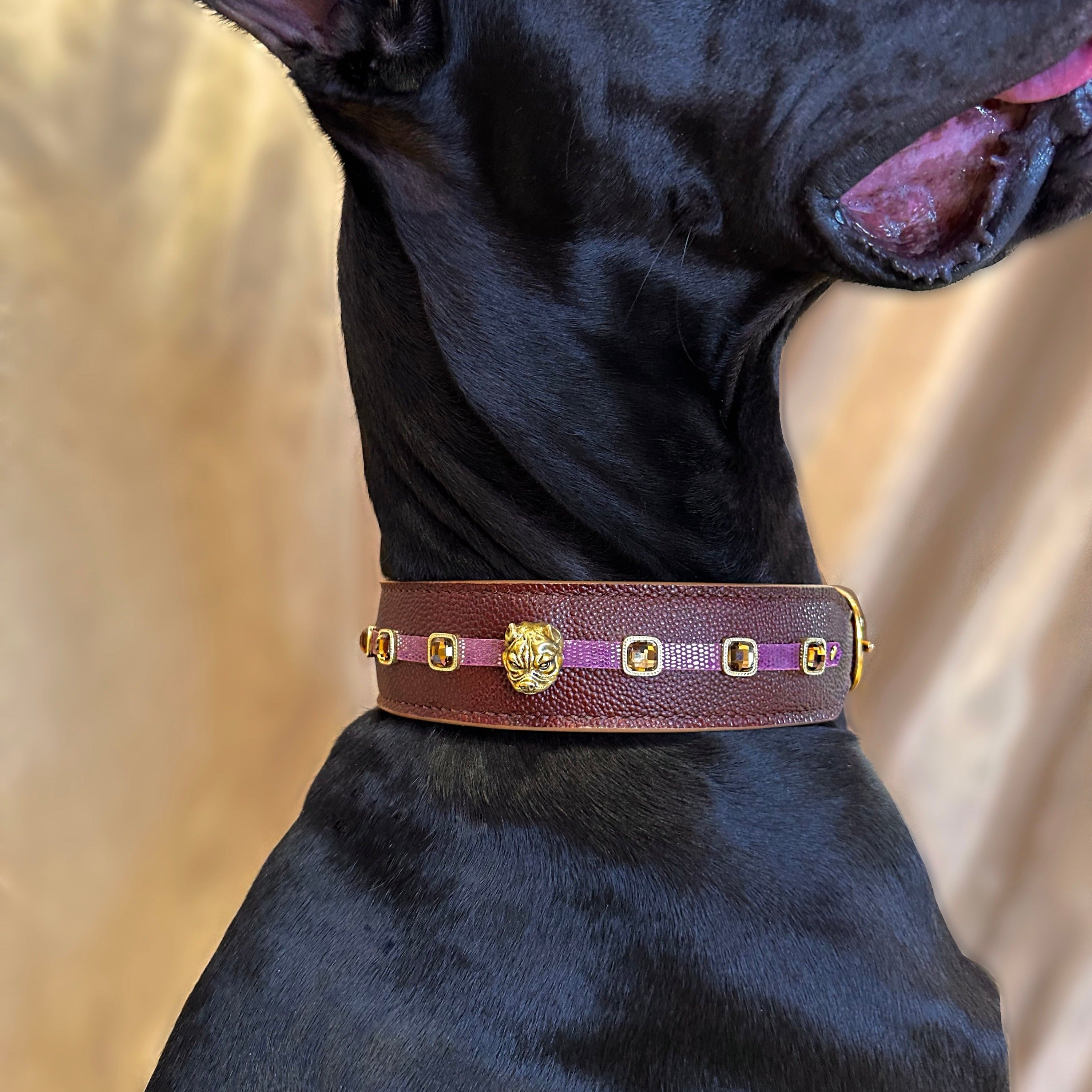 Ageon Collar