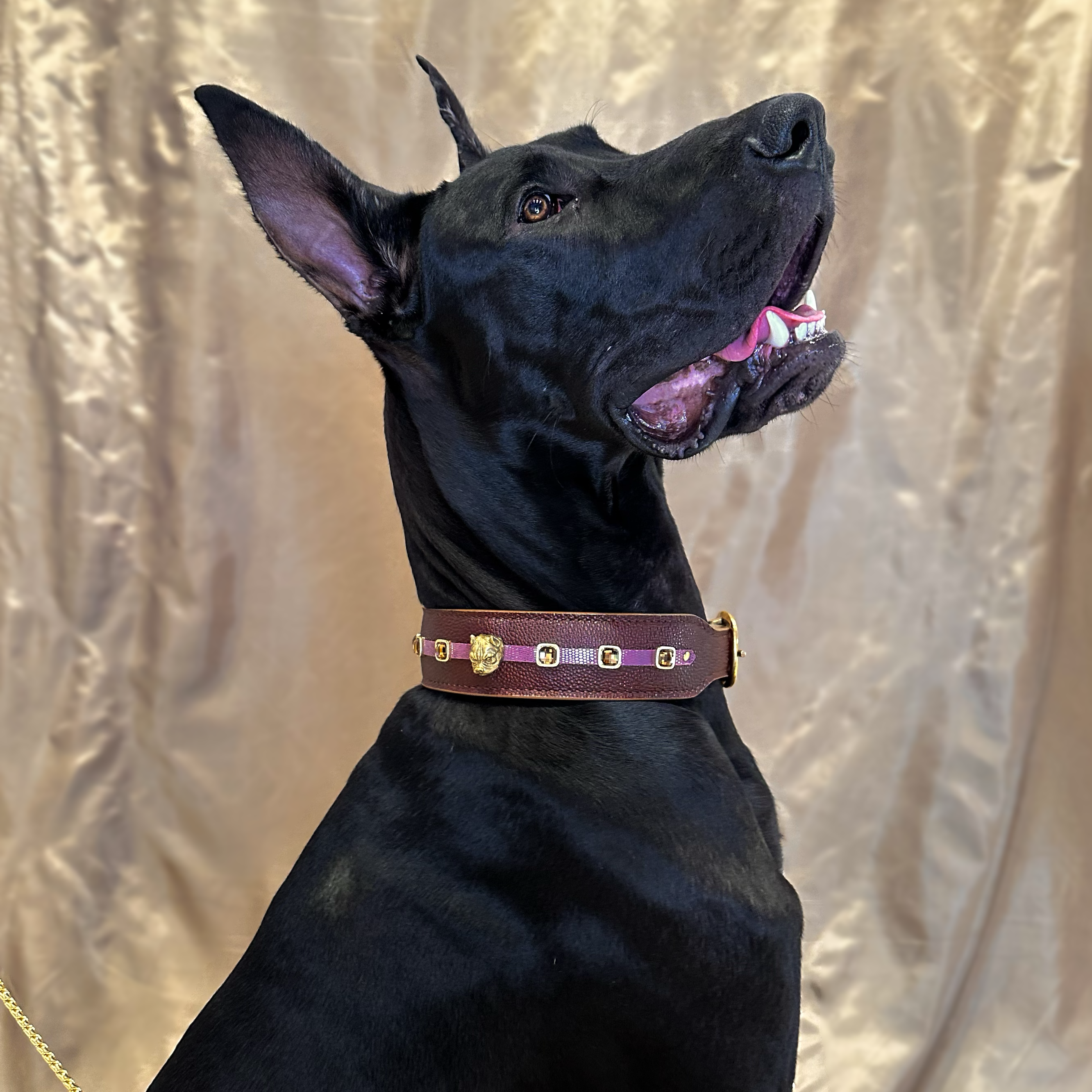 Ageon Collar