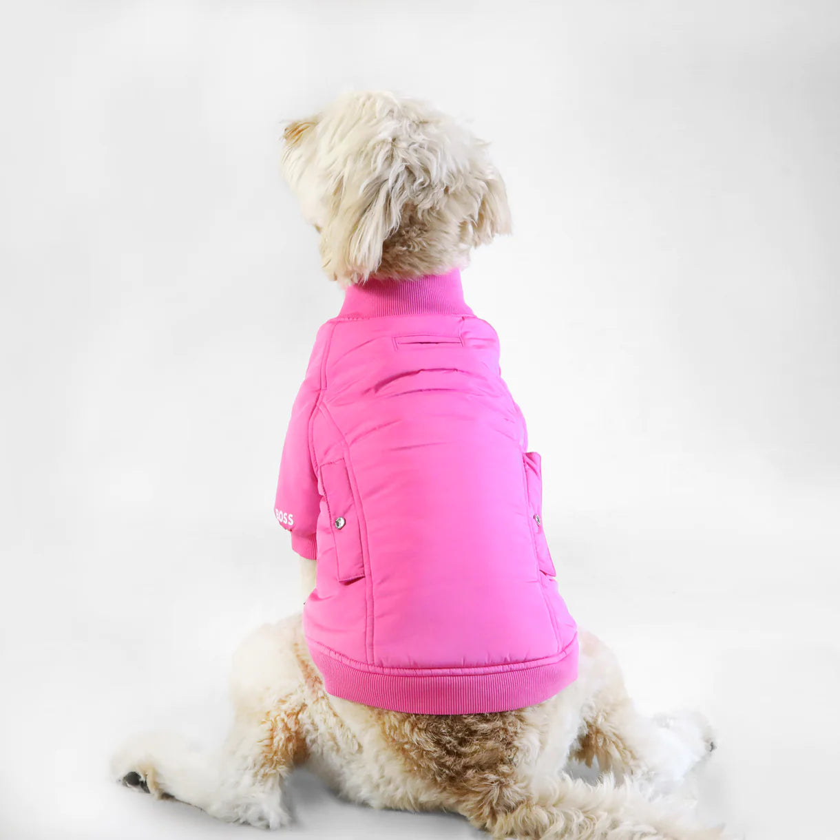 BOSS Buttondown Bomber Jacket