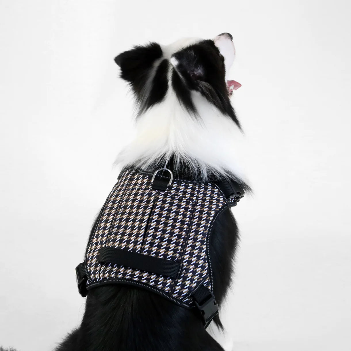 The BOSS Harness