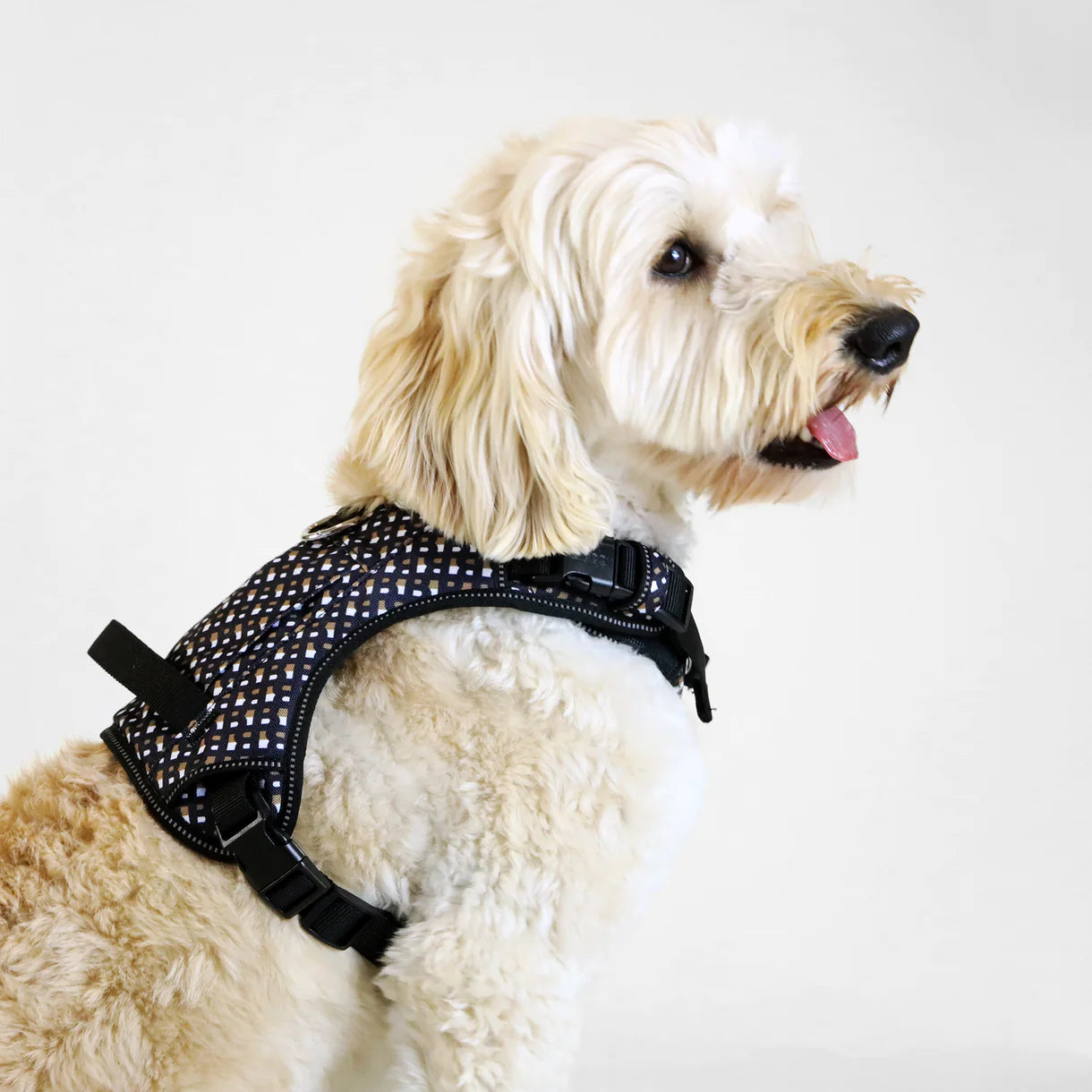 The BOSS Harness