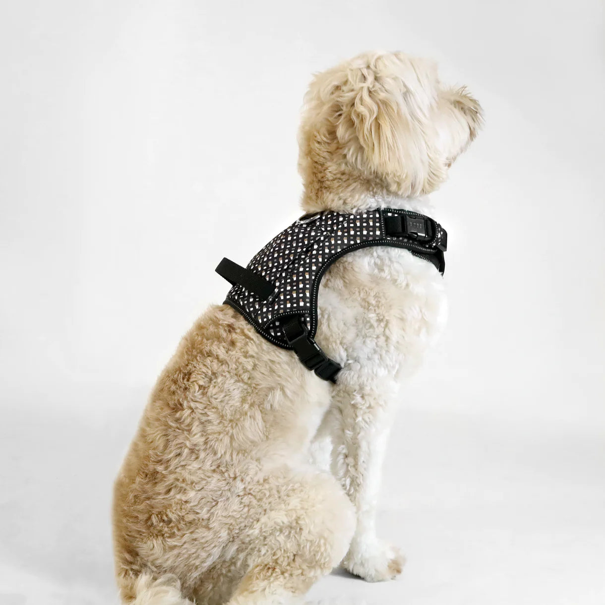 The BOSS Harness