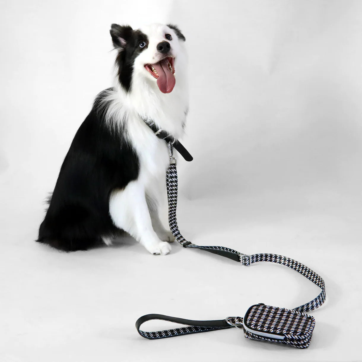 The BOSS Leash