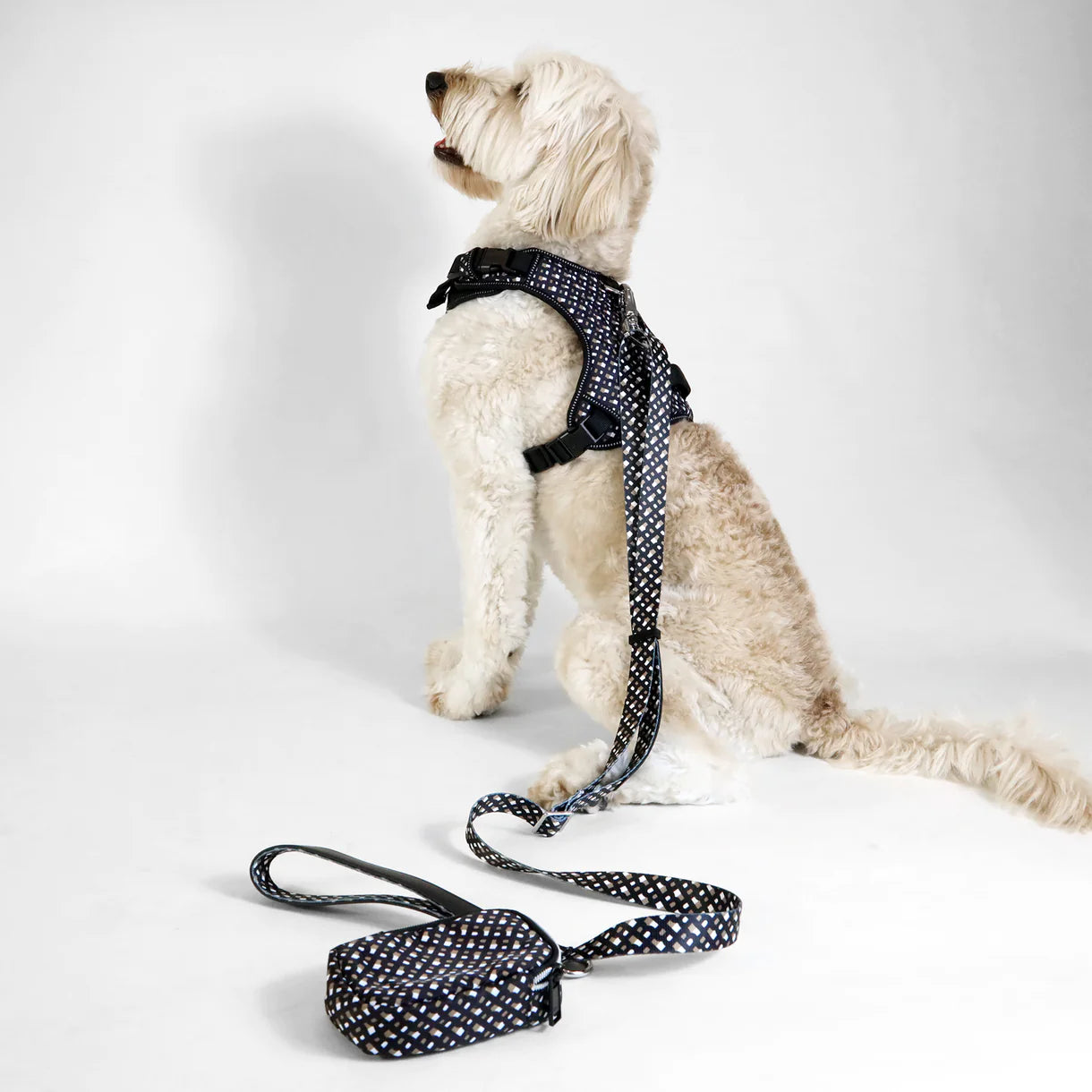 The BOSS Leash