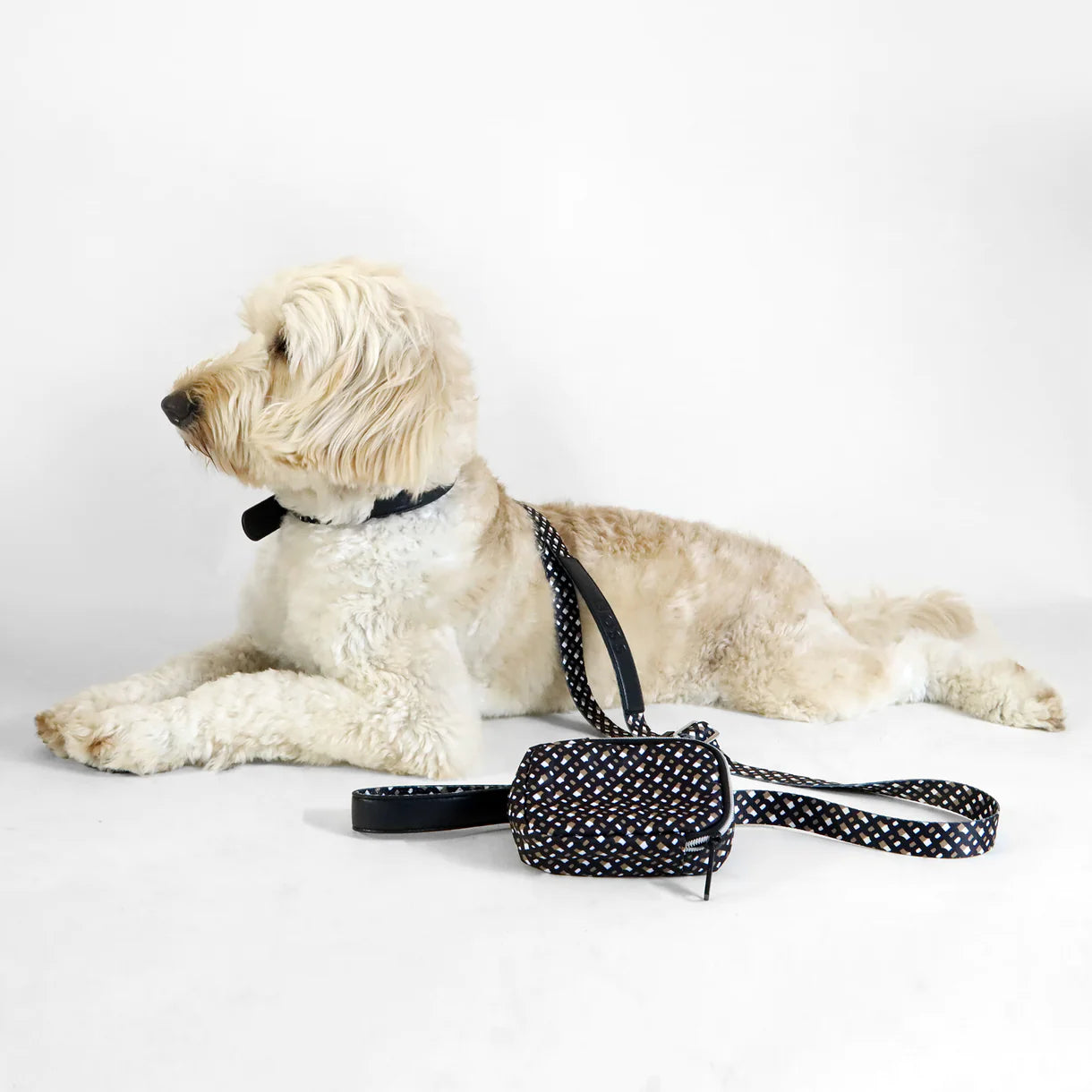 The BOSS Leash