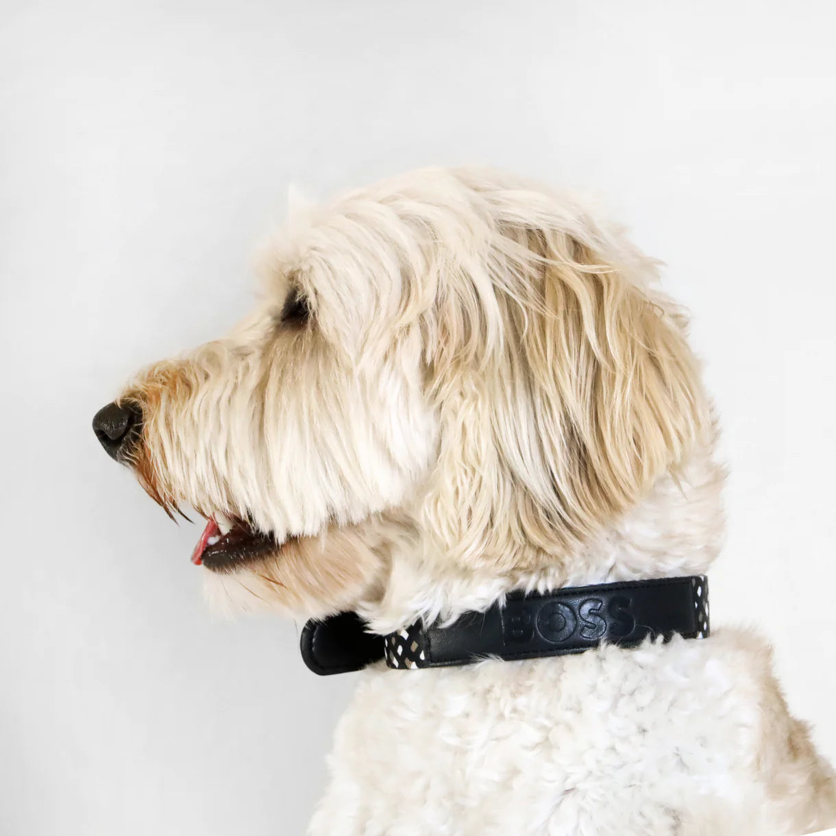 The BOSS Collar