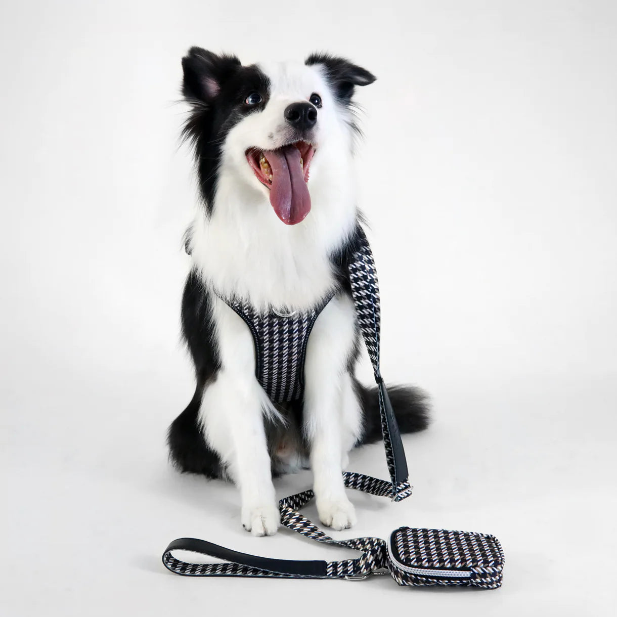 The BOSS Leash