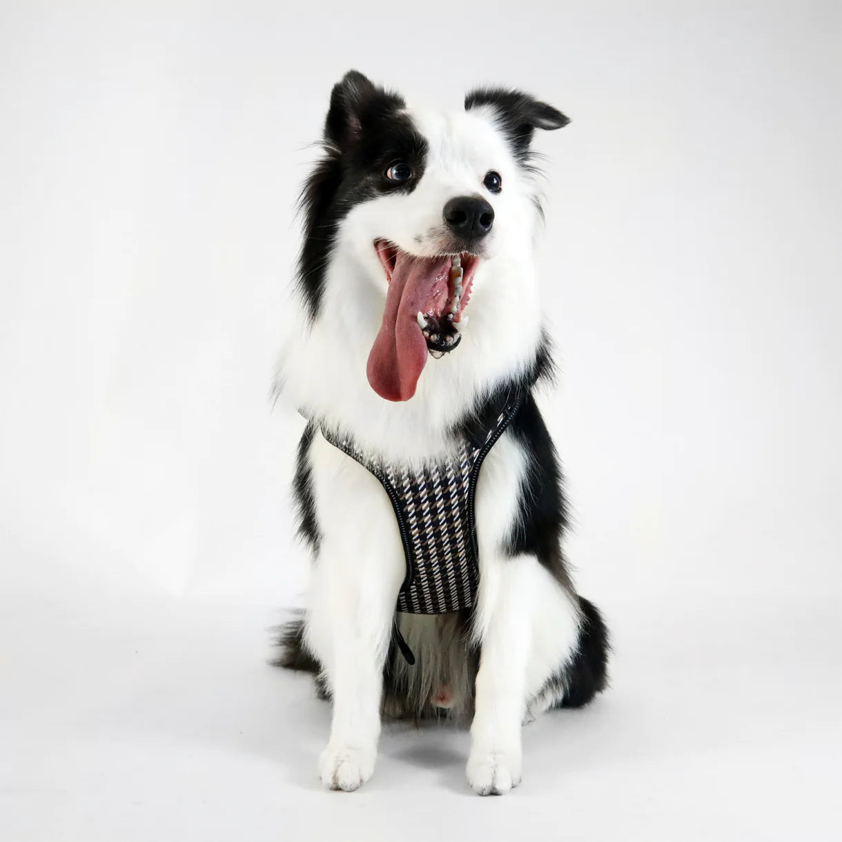 The BOSS Harness