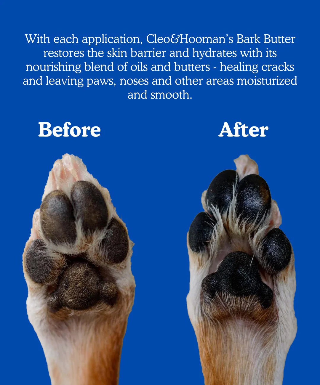 Bark Butter