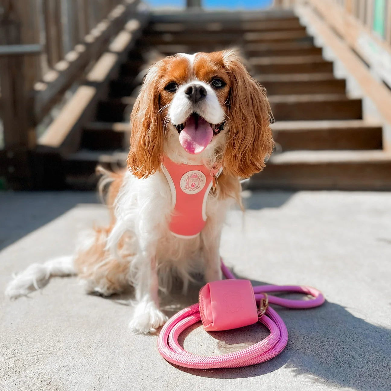 Doggie Republic Classic Harness