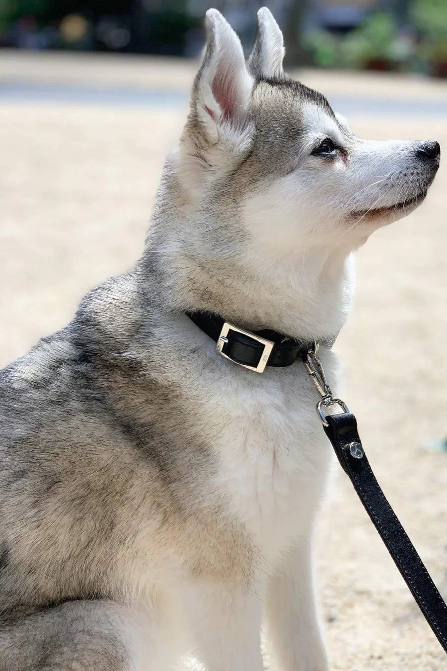 Idyllic Italian Collar