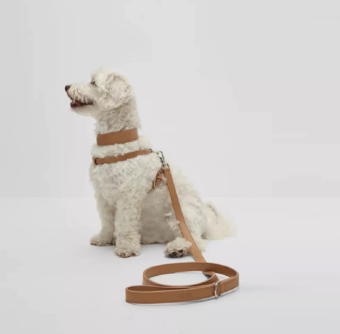 BOSS Recycled Leather Leash