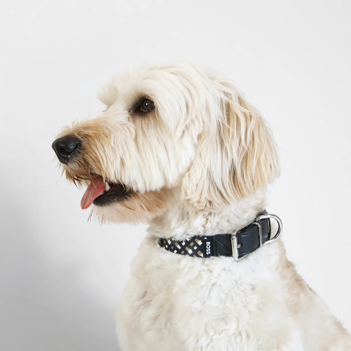 The BOSS Collar