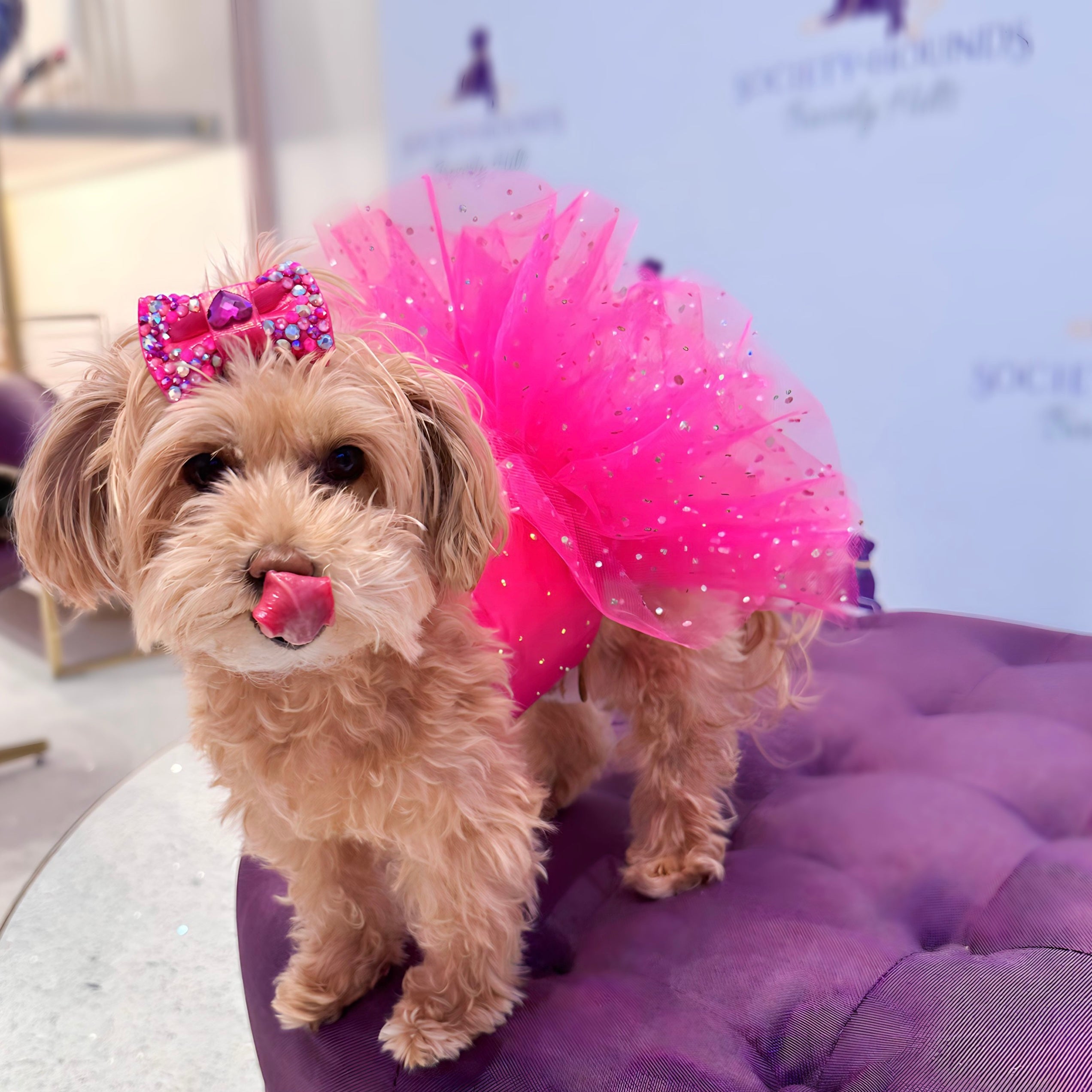 Venus Spinel Tutu Set