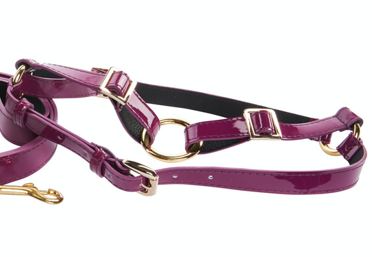 Glossy Mulberry Harness