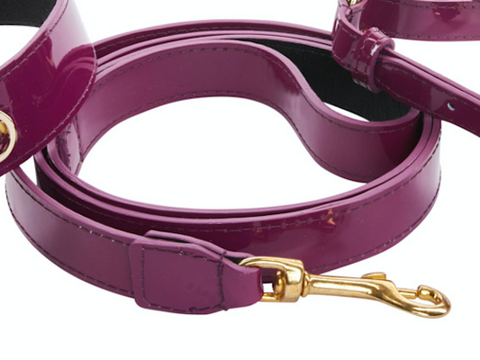 Glossy Mulberry Leash