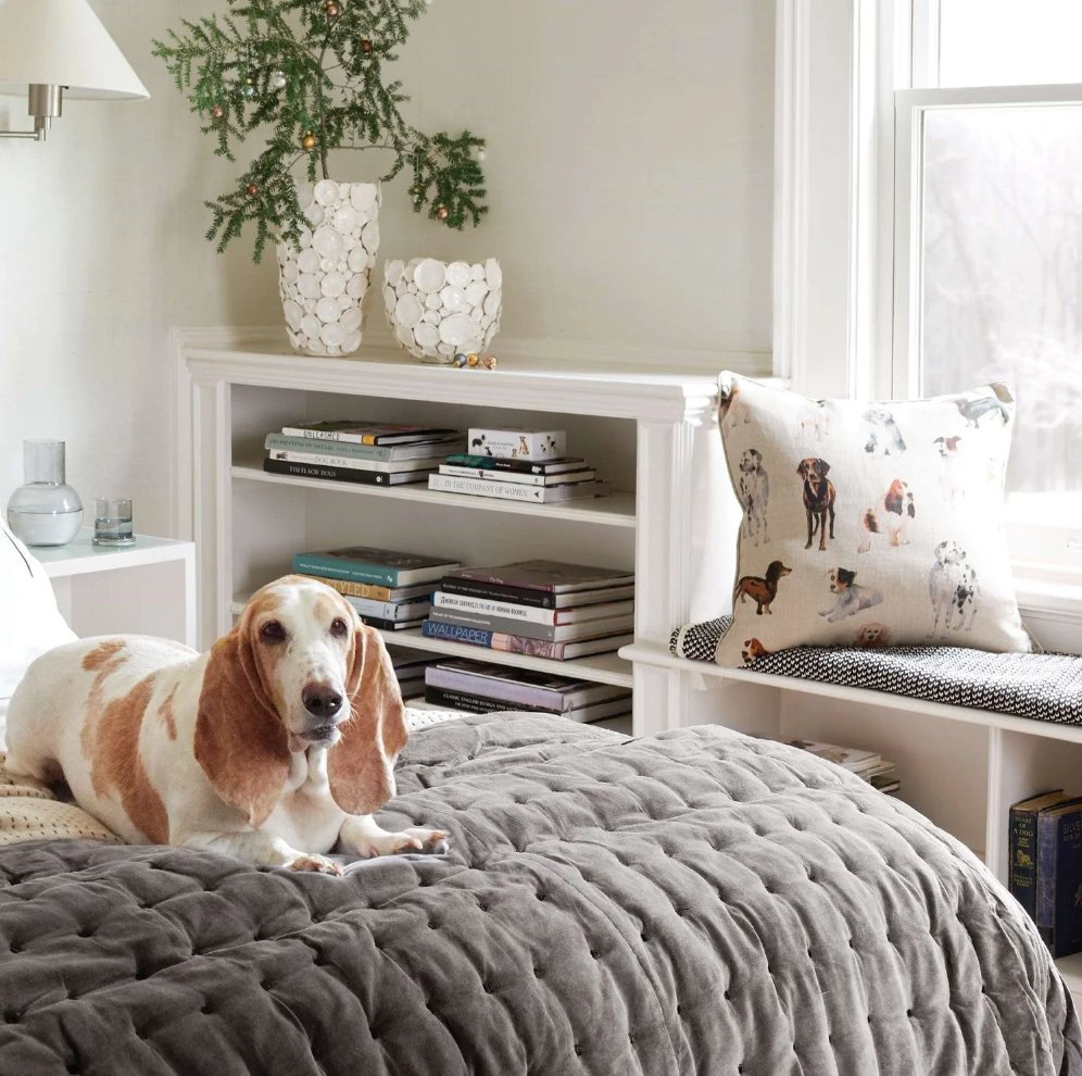 The Pup Pack Pillow