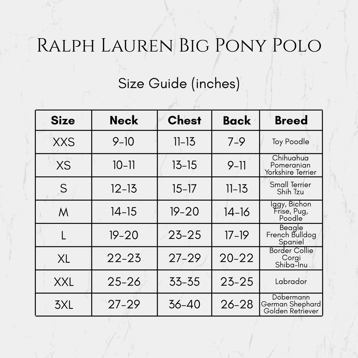 Ralph Lauren Big Pony Polo