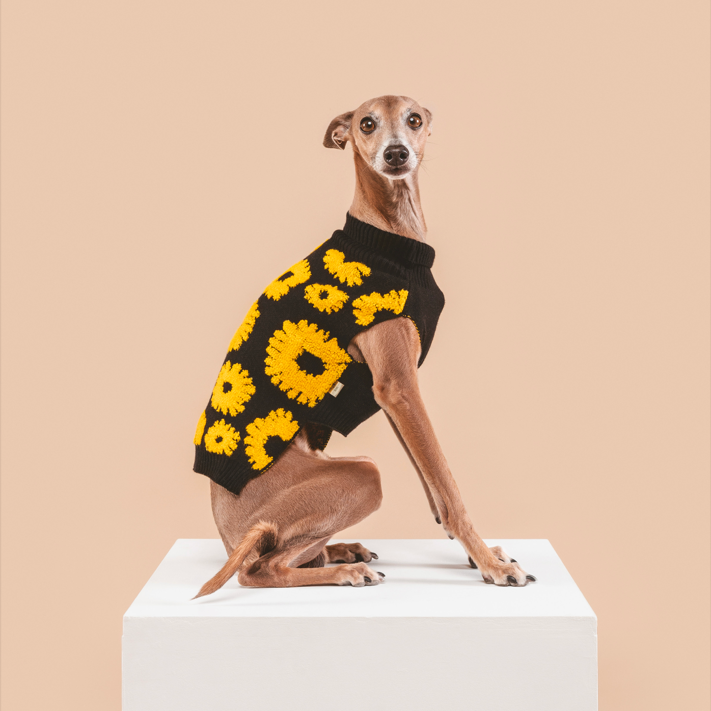 Sunflower Serenity Sweater