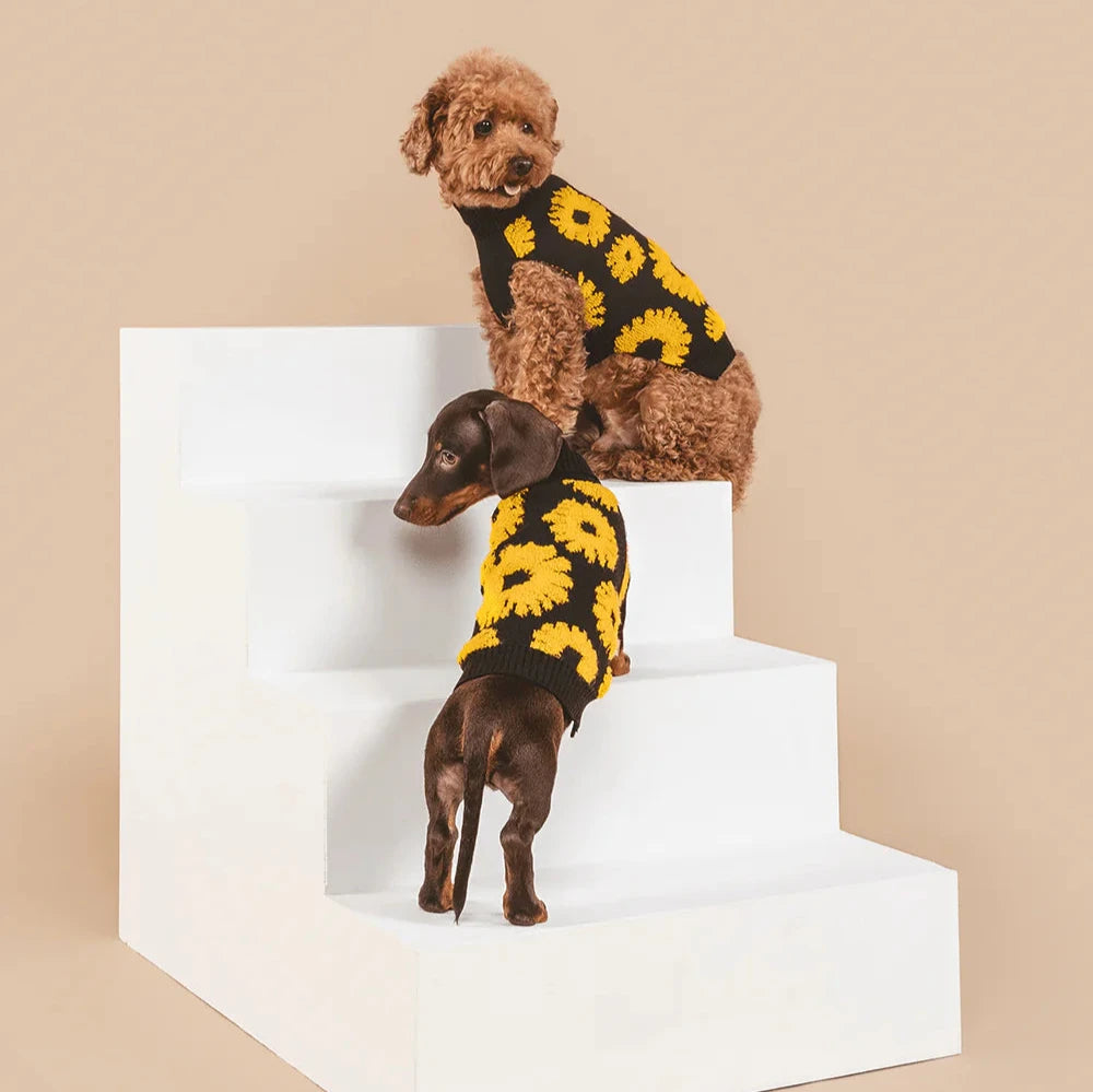 Sunflower Serenity Sweater
