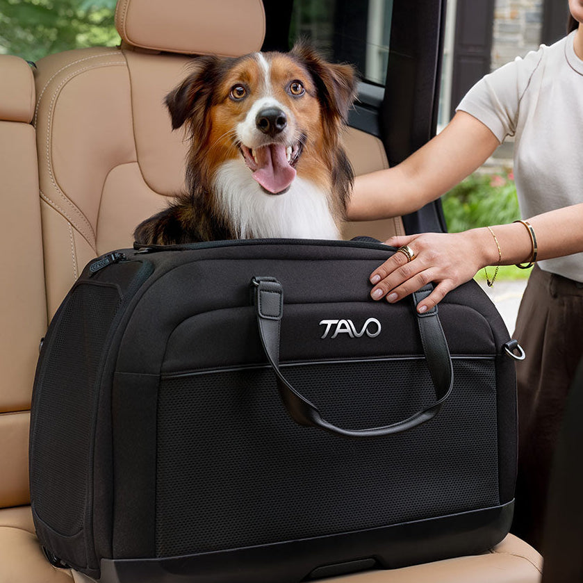 Hendrick Travel System